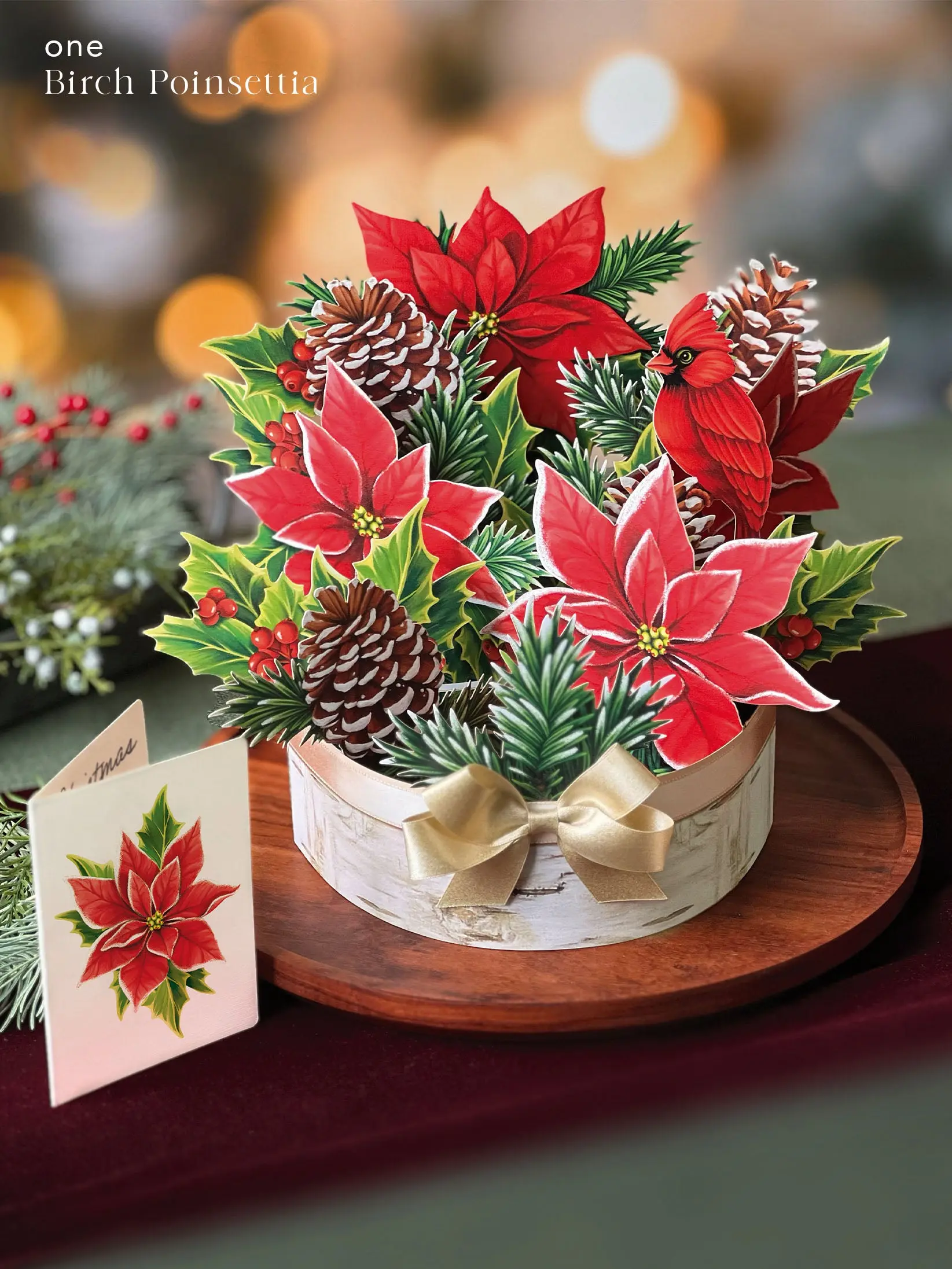 Holiday Essentials Set - Image 4