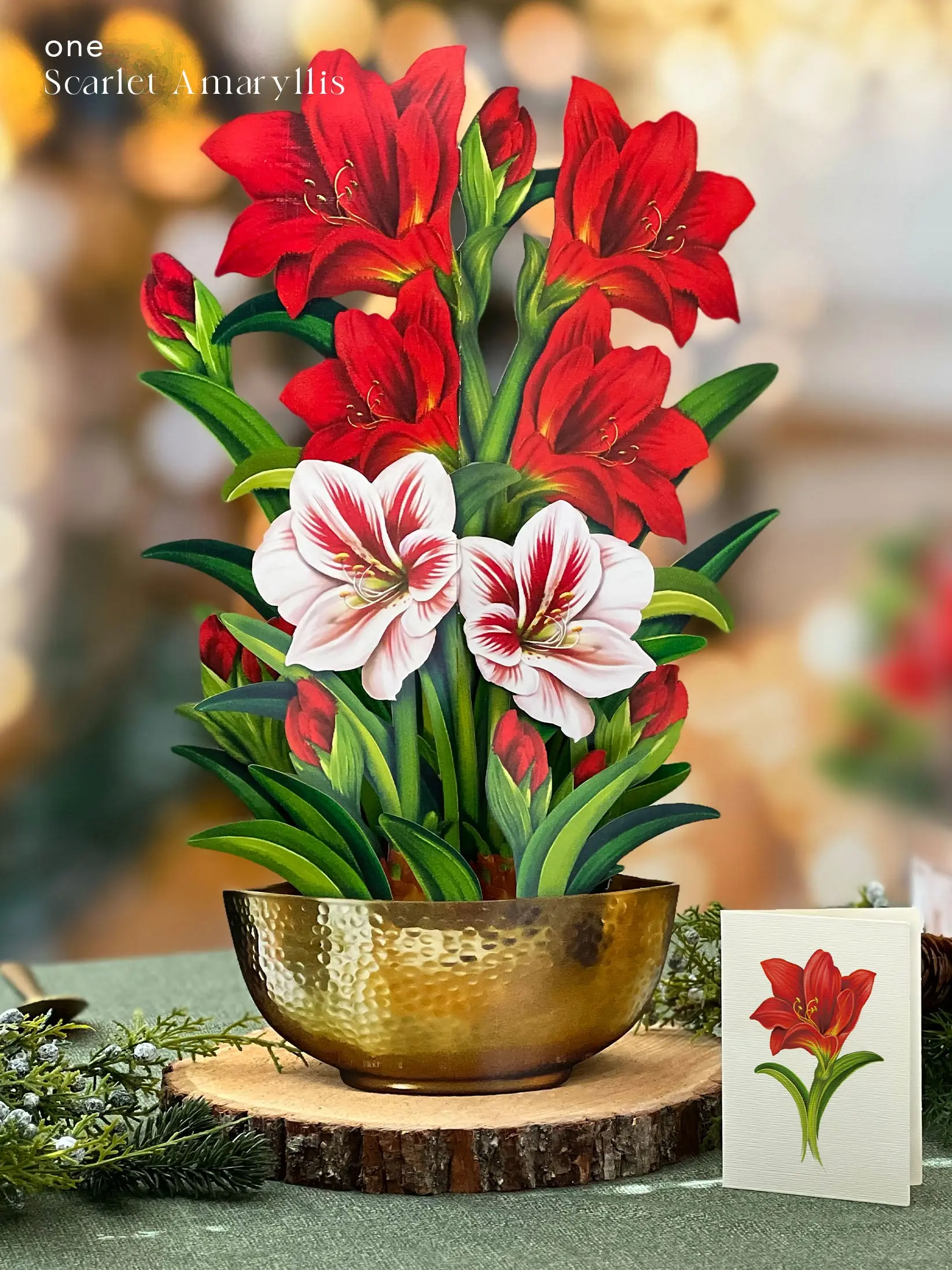 Holiday Essentials Set - Image 5