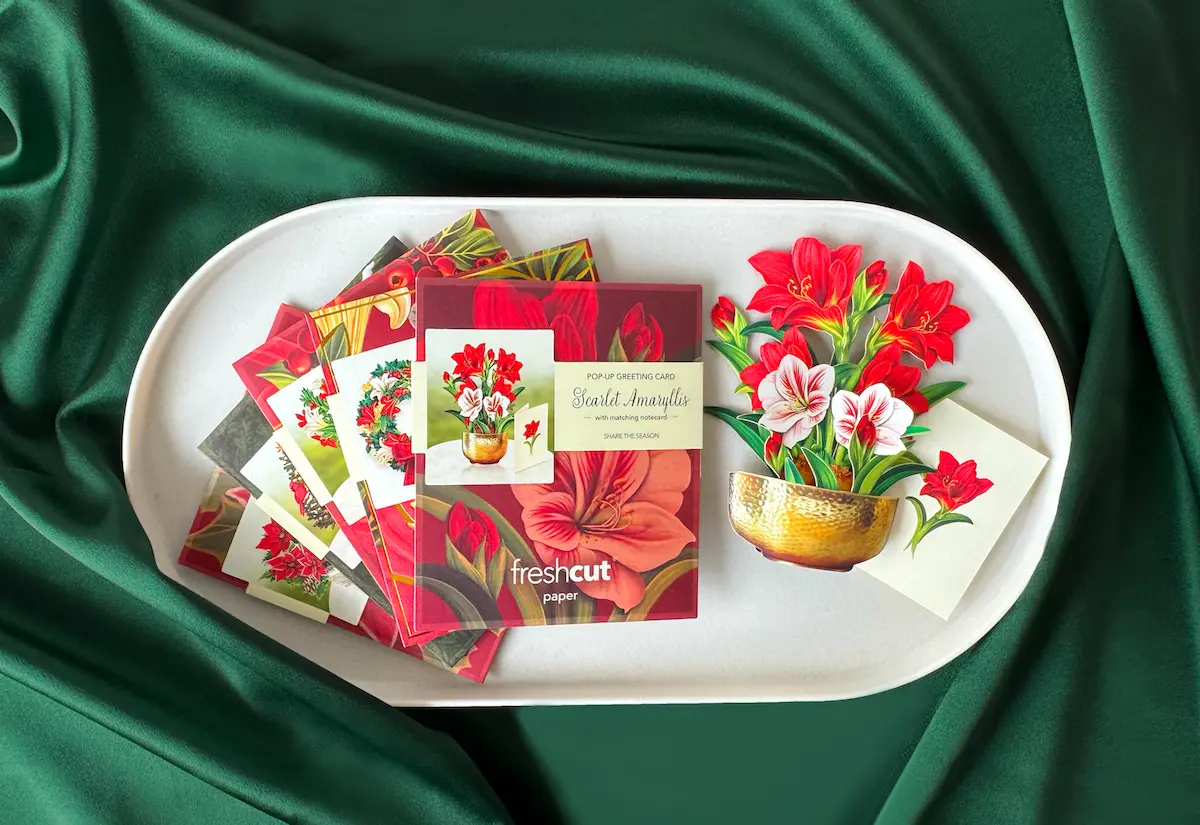 Holiday Favorites Boxed Set of 5 - Image 3