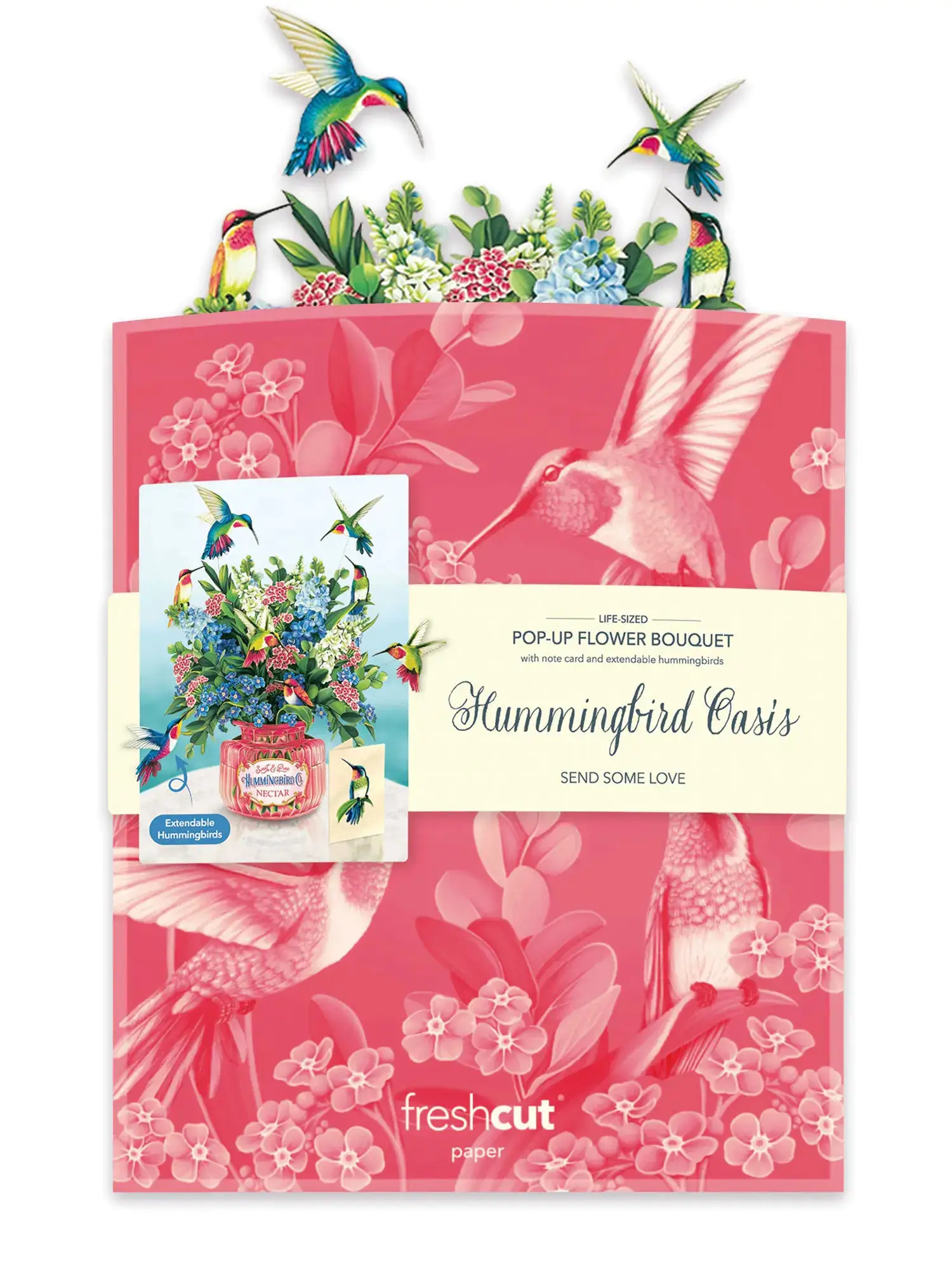 Hummingbird Oasis - Image 9