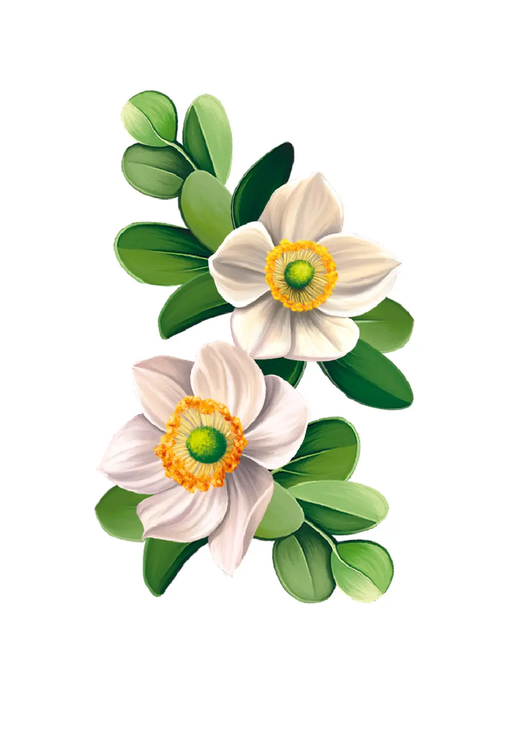 Ivory and Sage Card