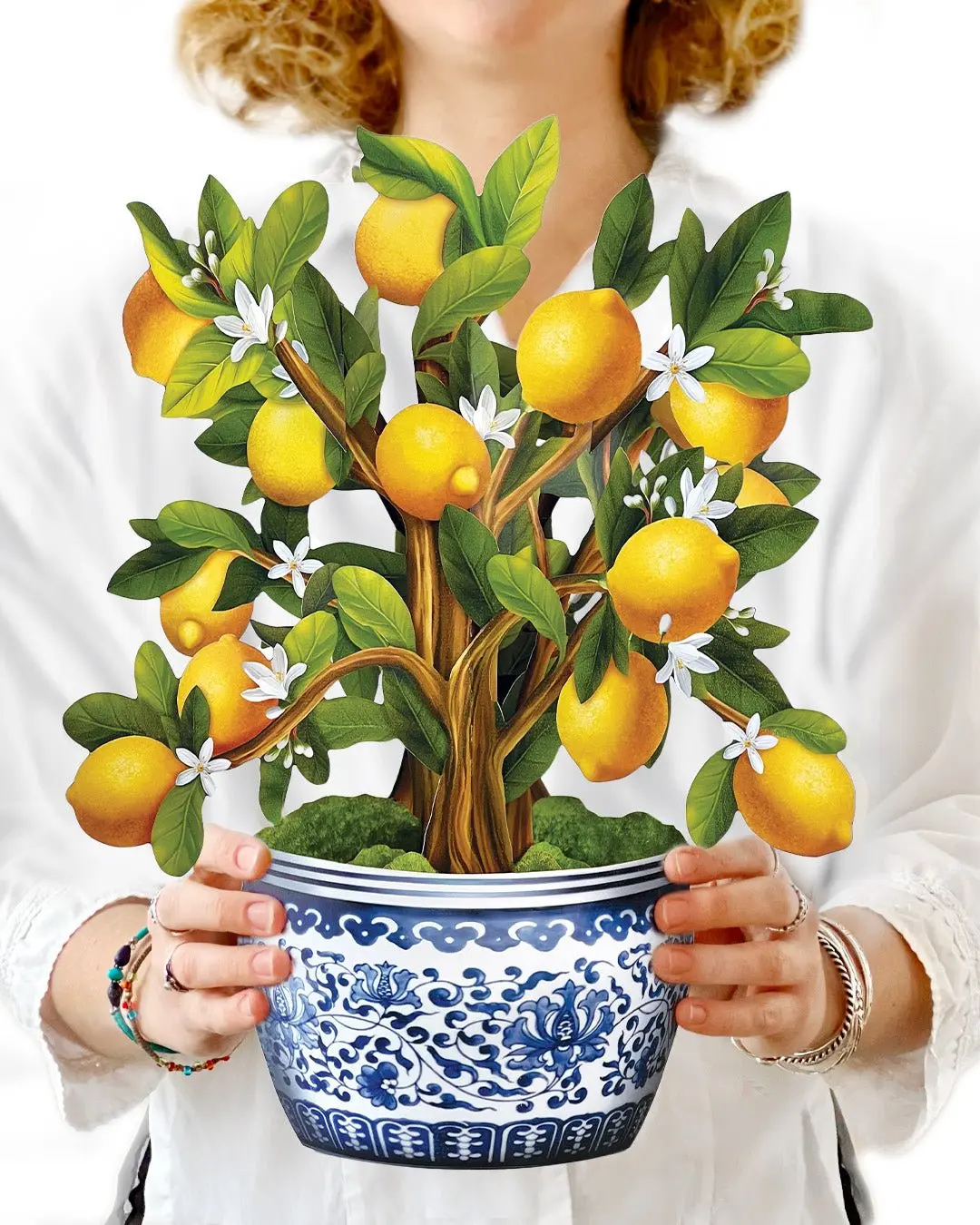 Lemon Blossom Tree - Image 2