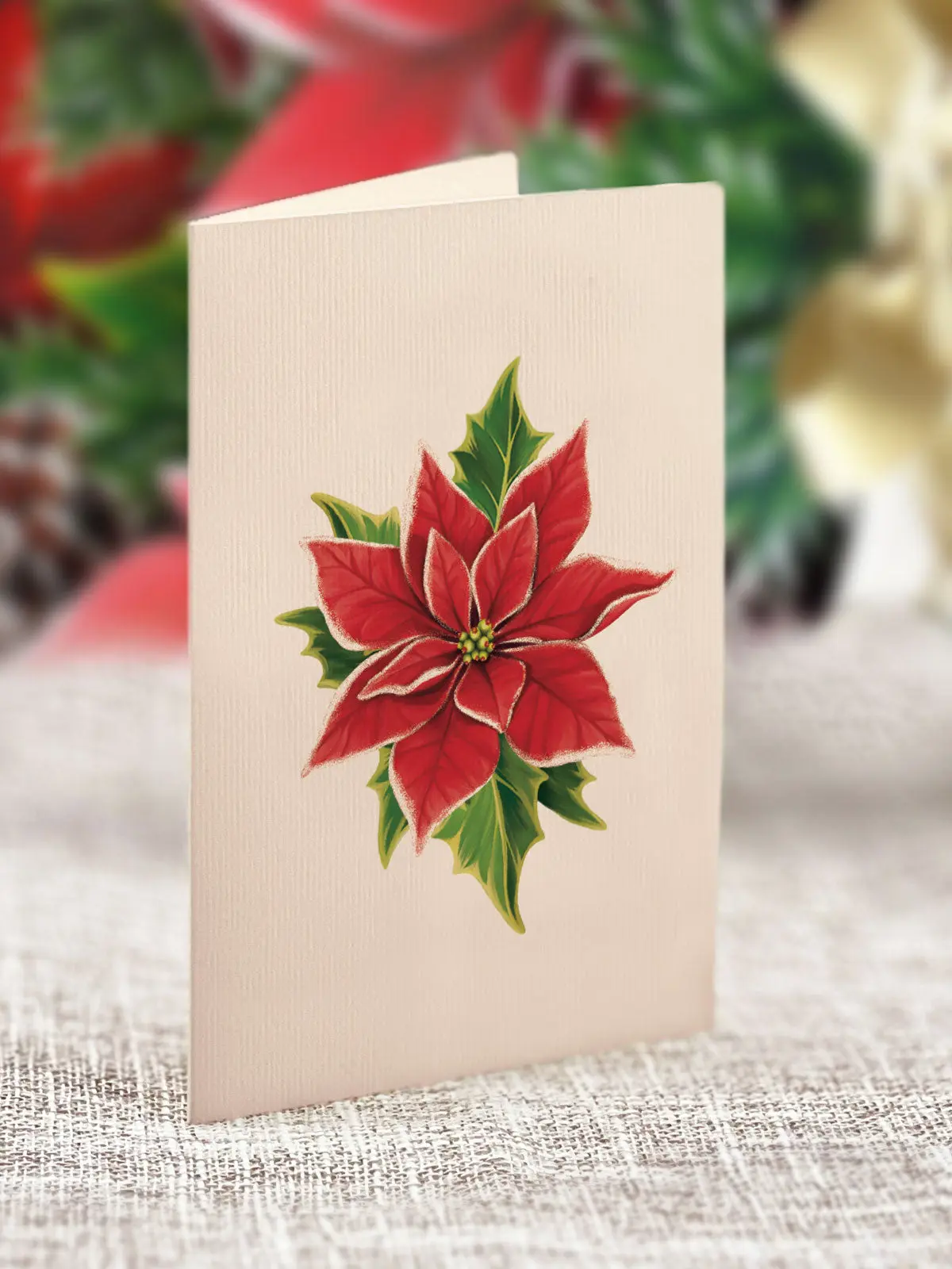 Mini Birch Poinsettia - Image 6