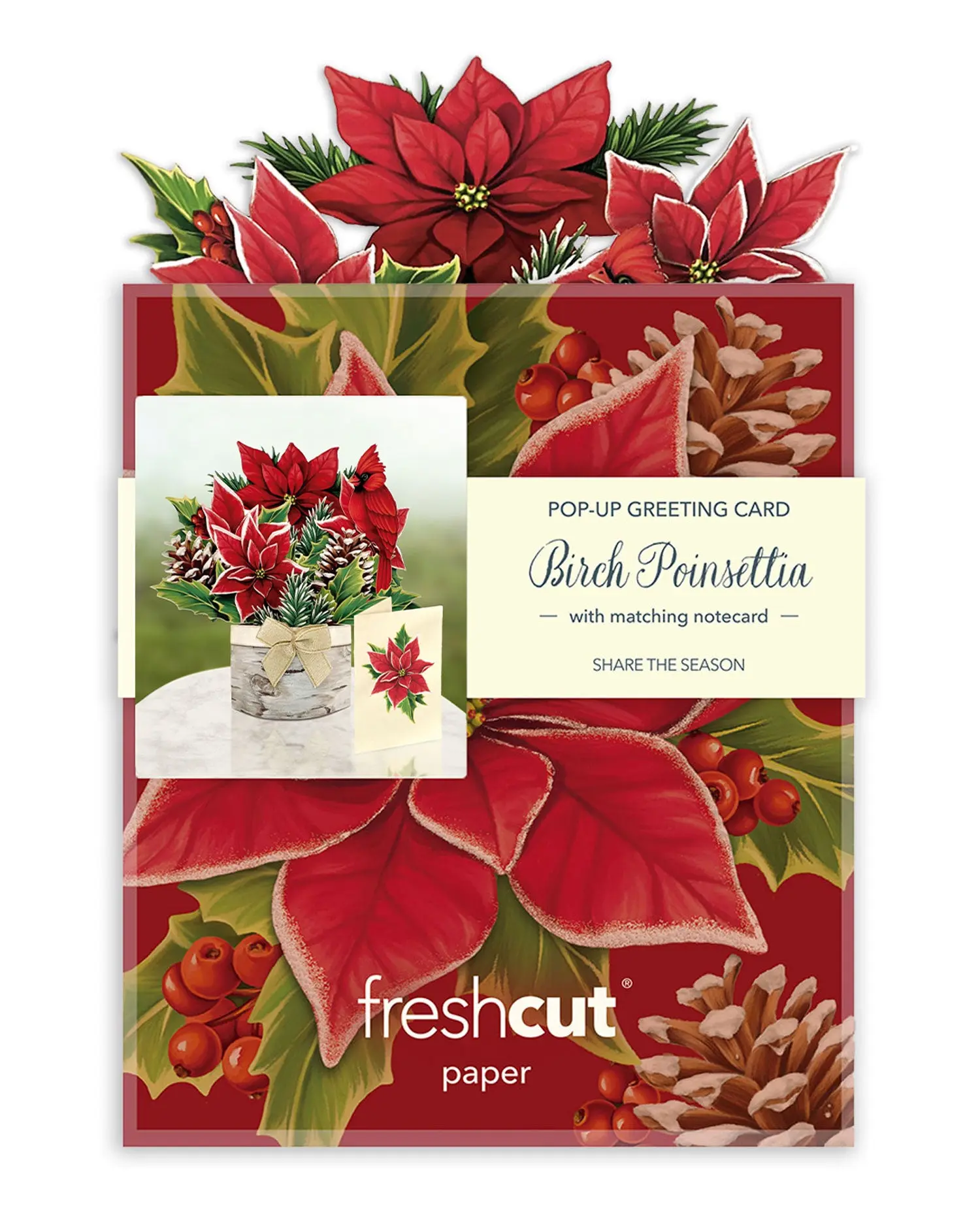 Mini Birch Poinsettia - Image 7