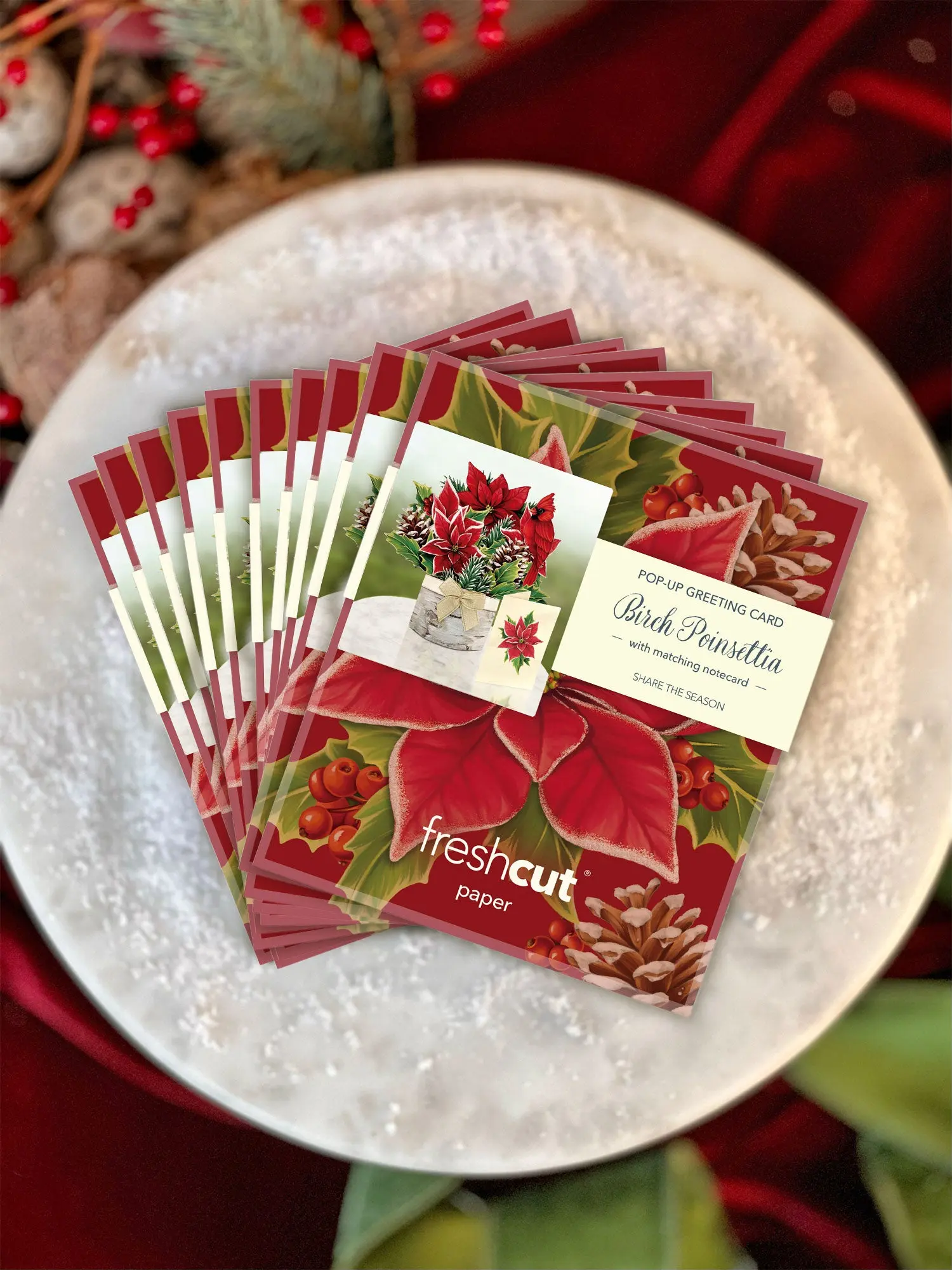 Mini Birch Poinsettia - Image 9