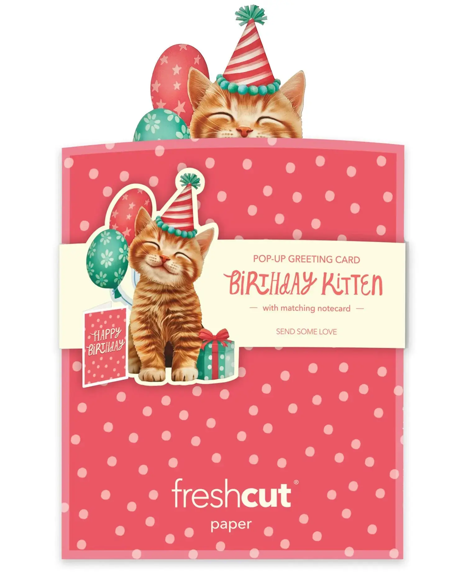 Mini Birthday Kitten - Image 3