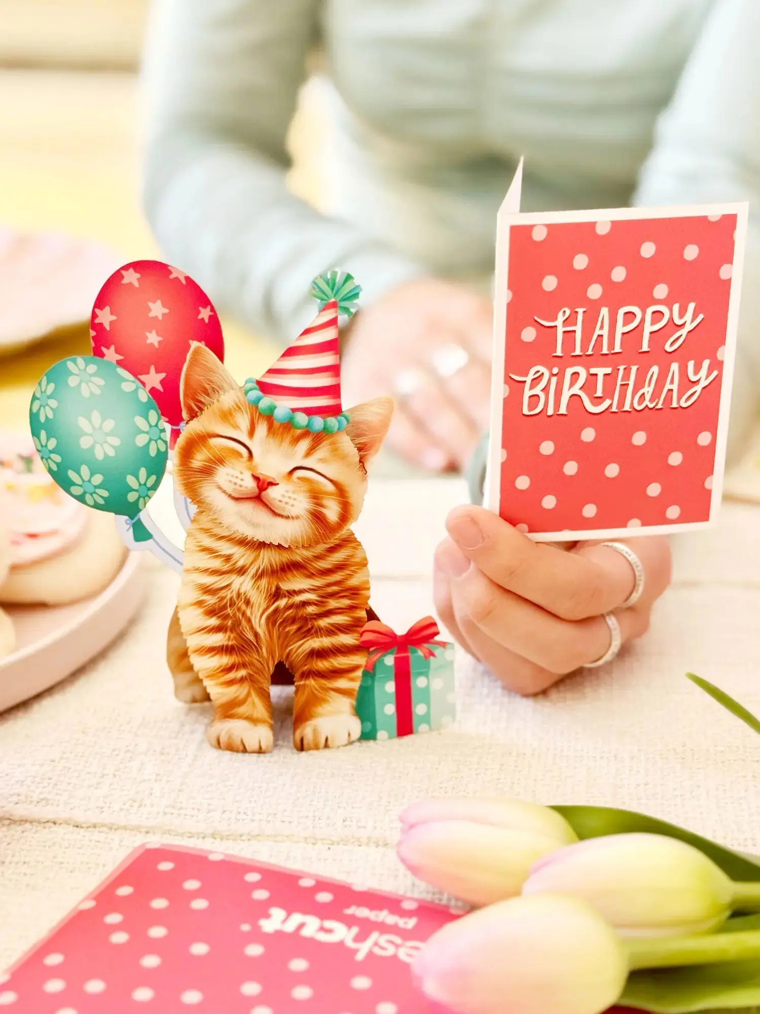 Mini Birthday Kitten - Image 4