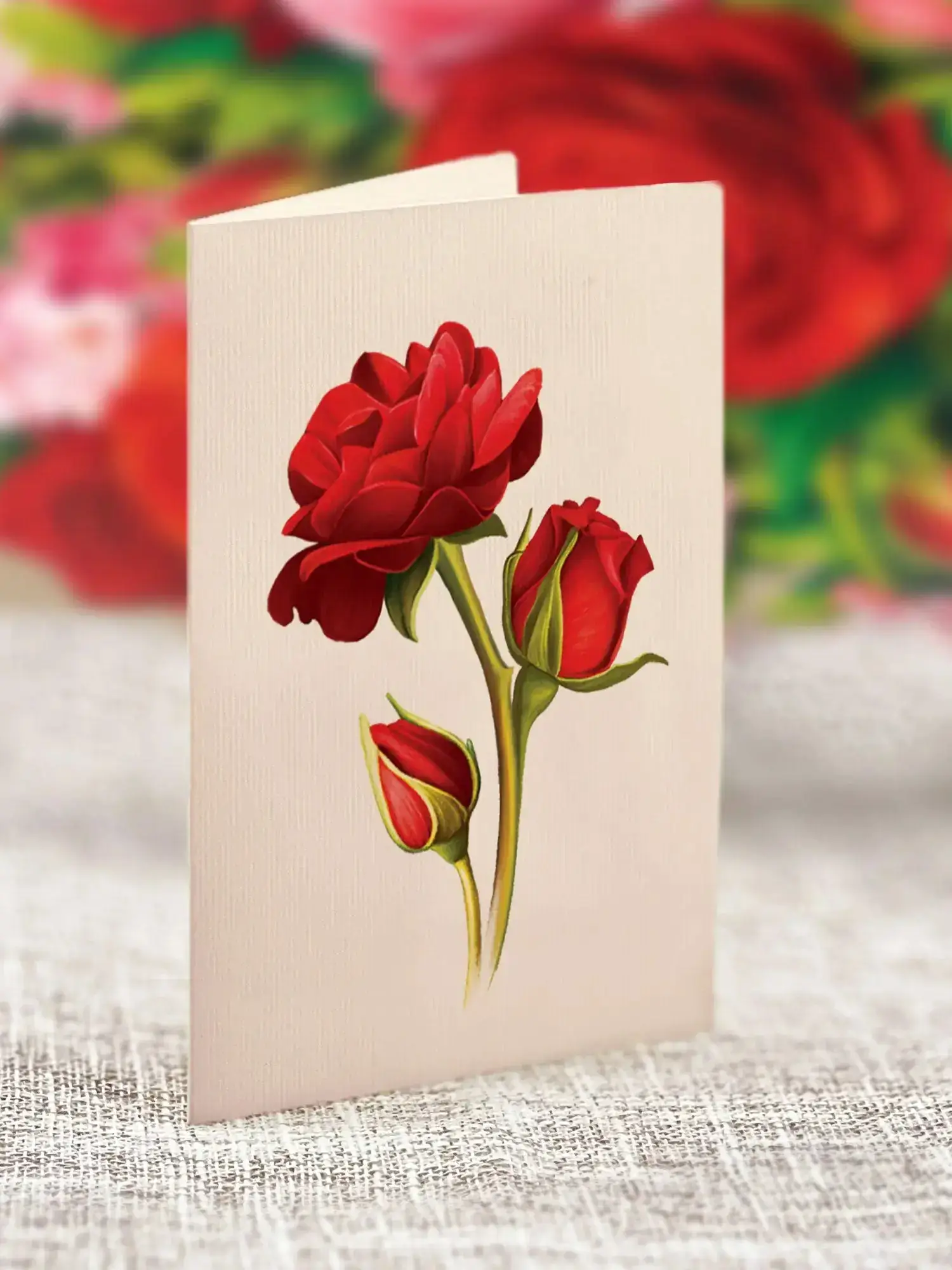 Mini Blooming Roses - Image 6