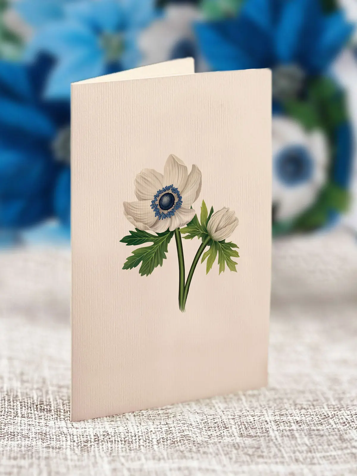 Mini Blue Poinsettia - Image 3