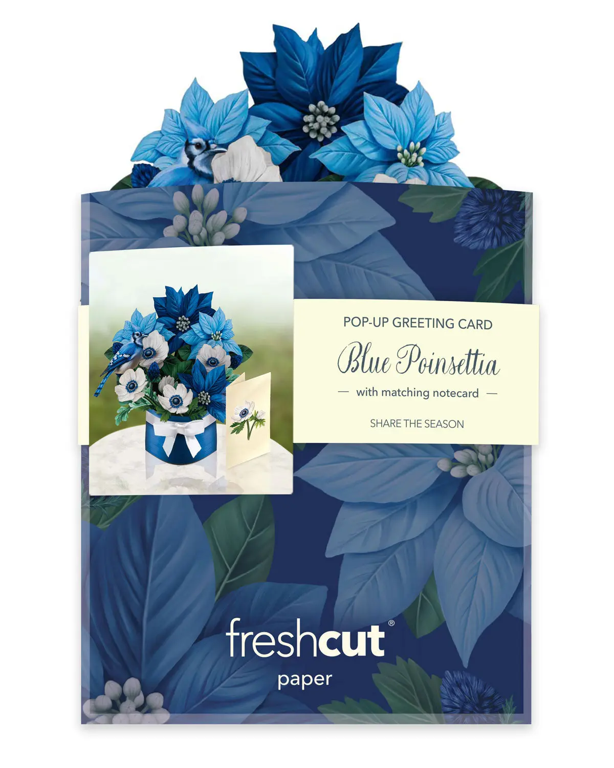 Mini Blue Poinsettia - Image 4
