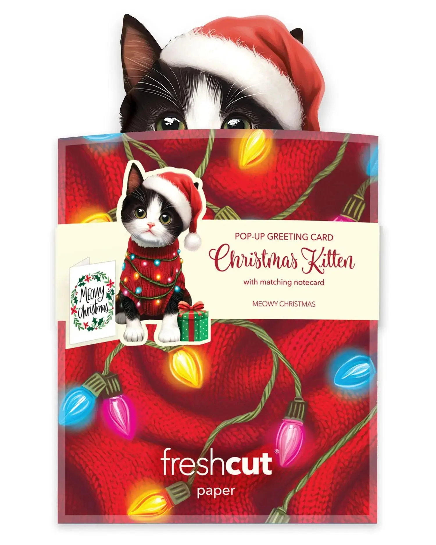 Mini Christmas Kitten - Image 4