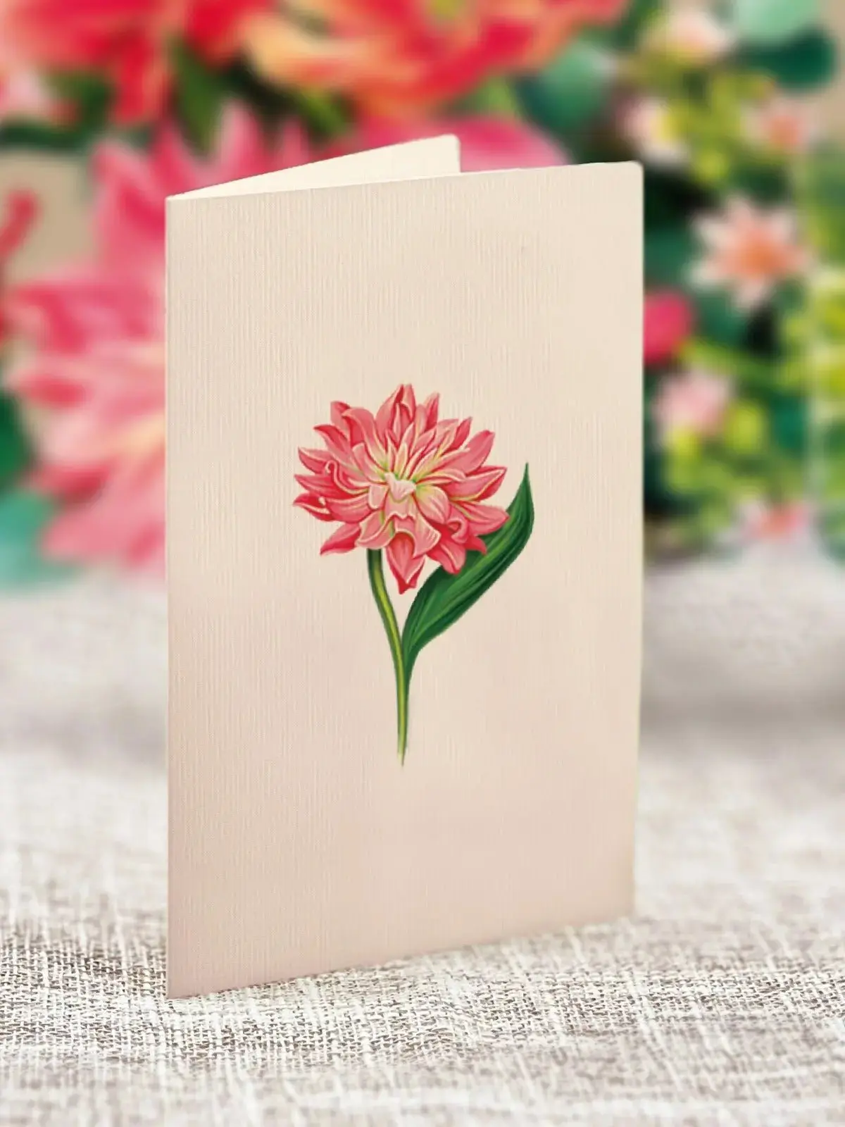 Mini Dear Dahlia - Image 4