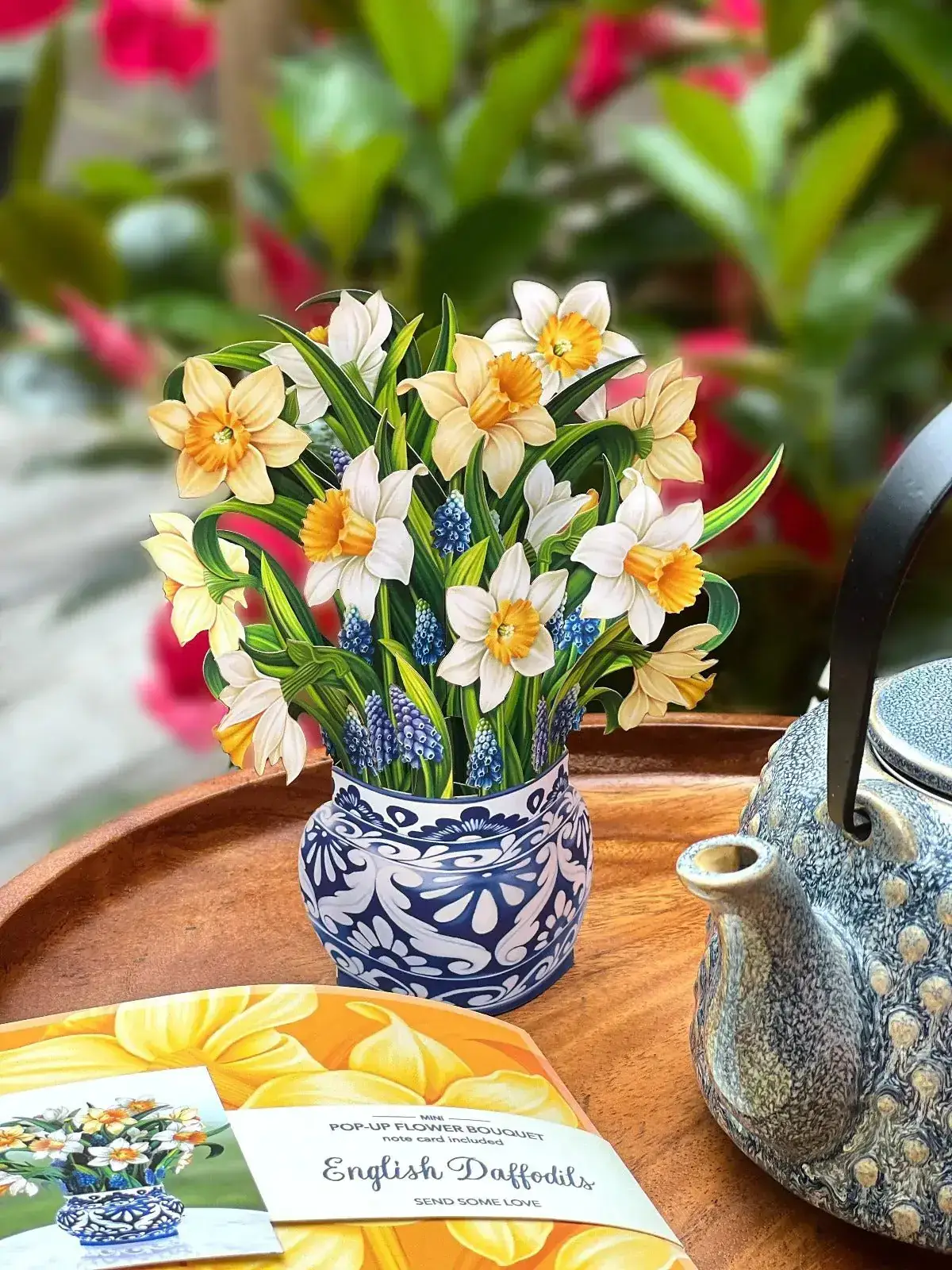 Mini English Daffodil - Image 2