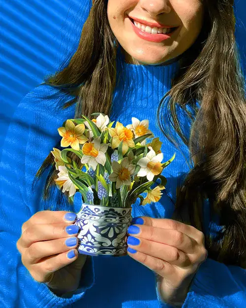 Mini English Daffodil - Image 3