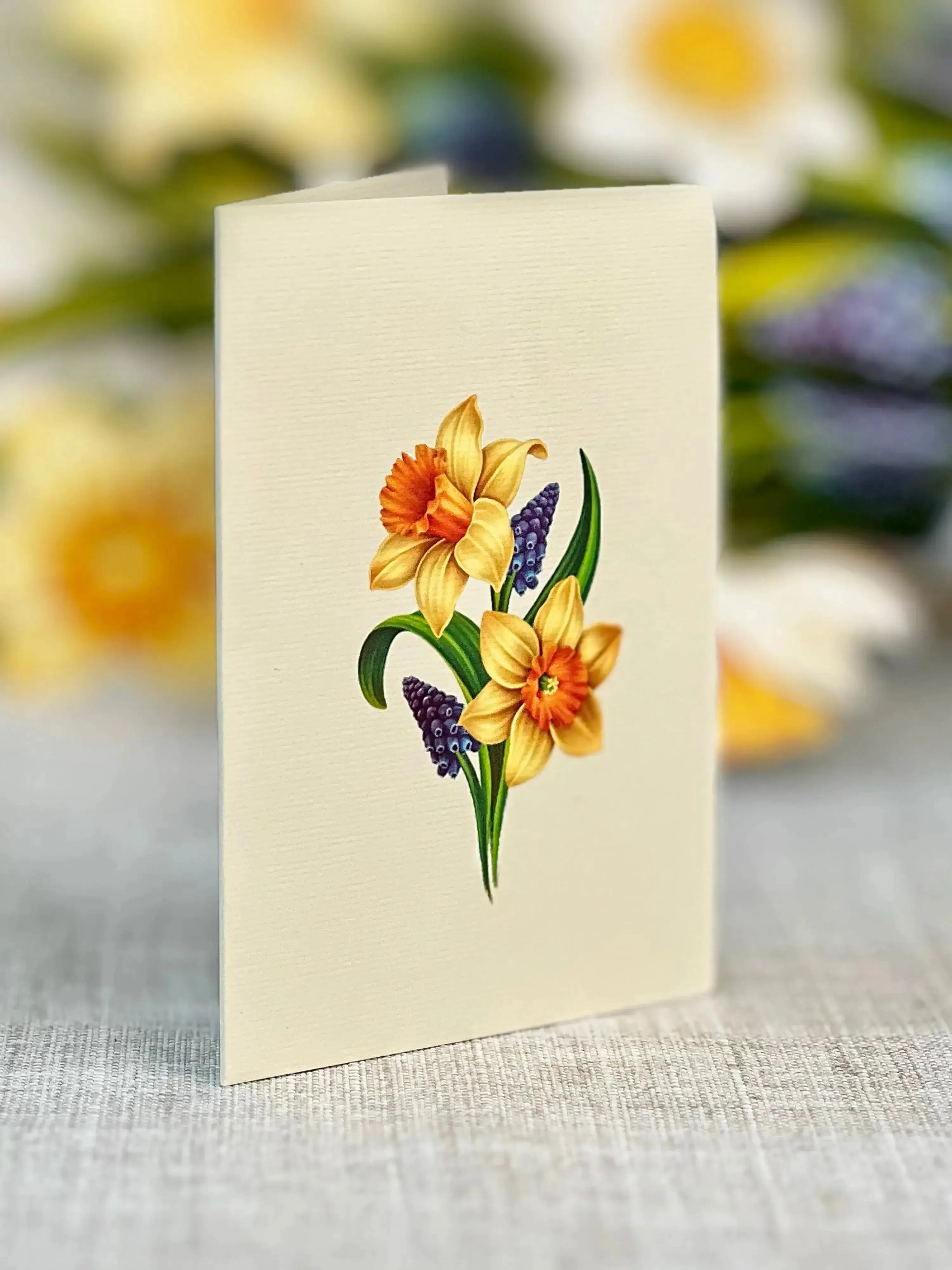 Mini English Daffodil - Image 5