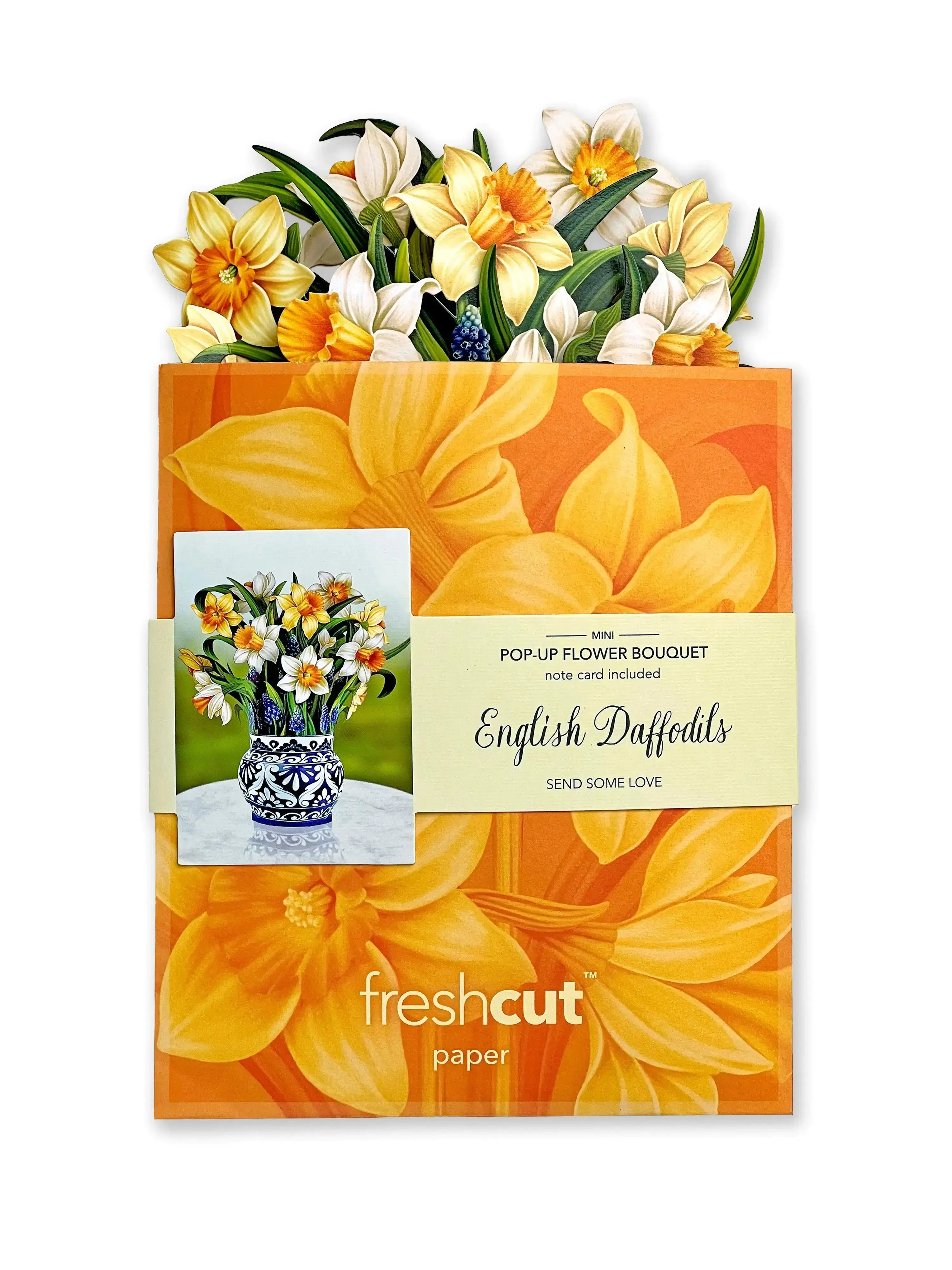 Mini English Daffodil - Image 6