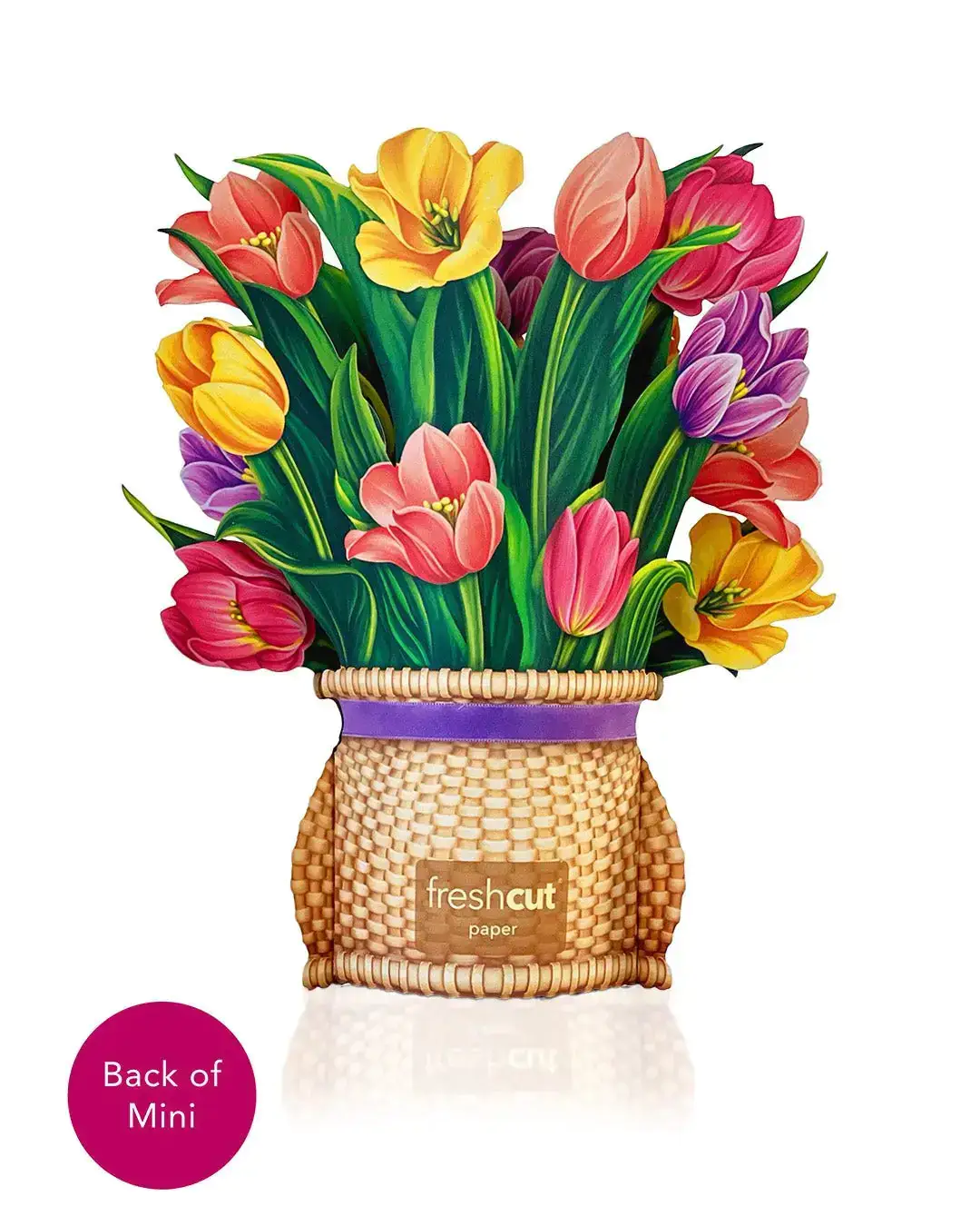 Mini Festive Tulips - Image 3