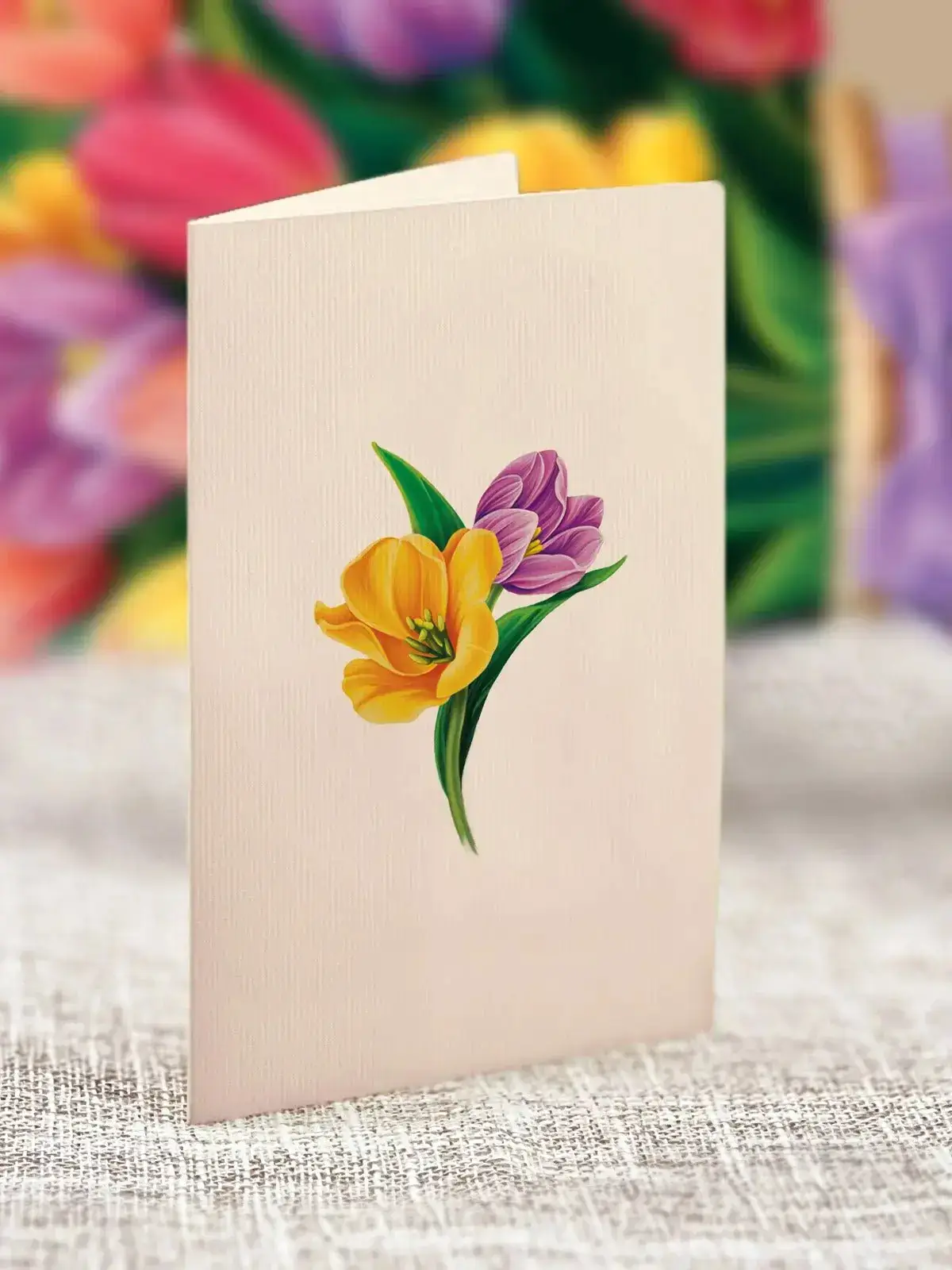 Mini Festive Tulips - Image 5