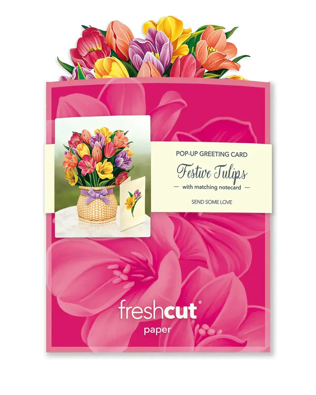 Mini Festive Tulips - Image 6