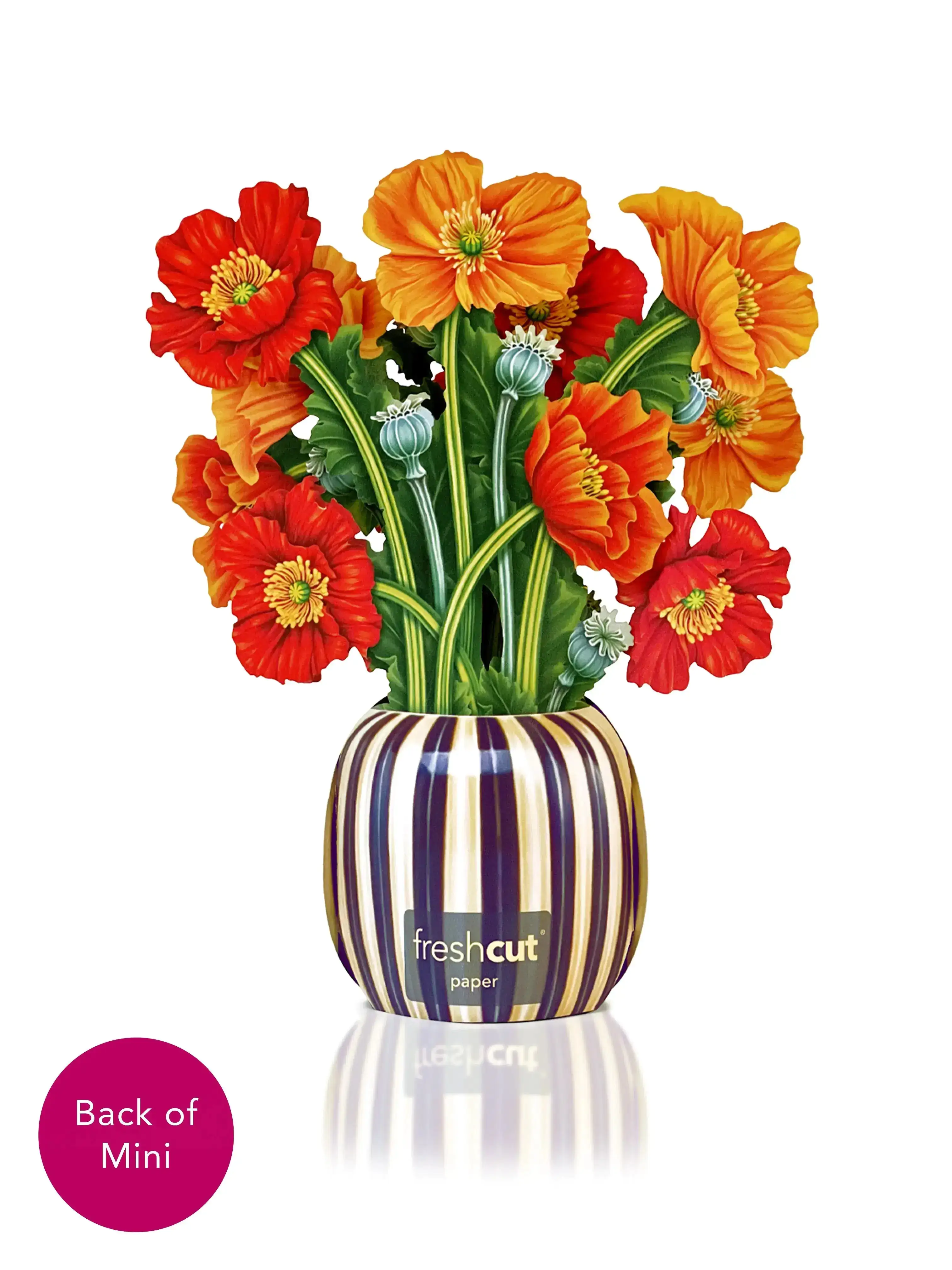 Mini French Poppies - Image 3