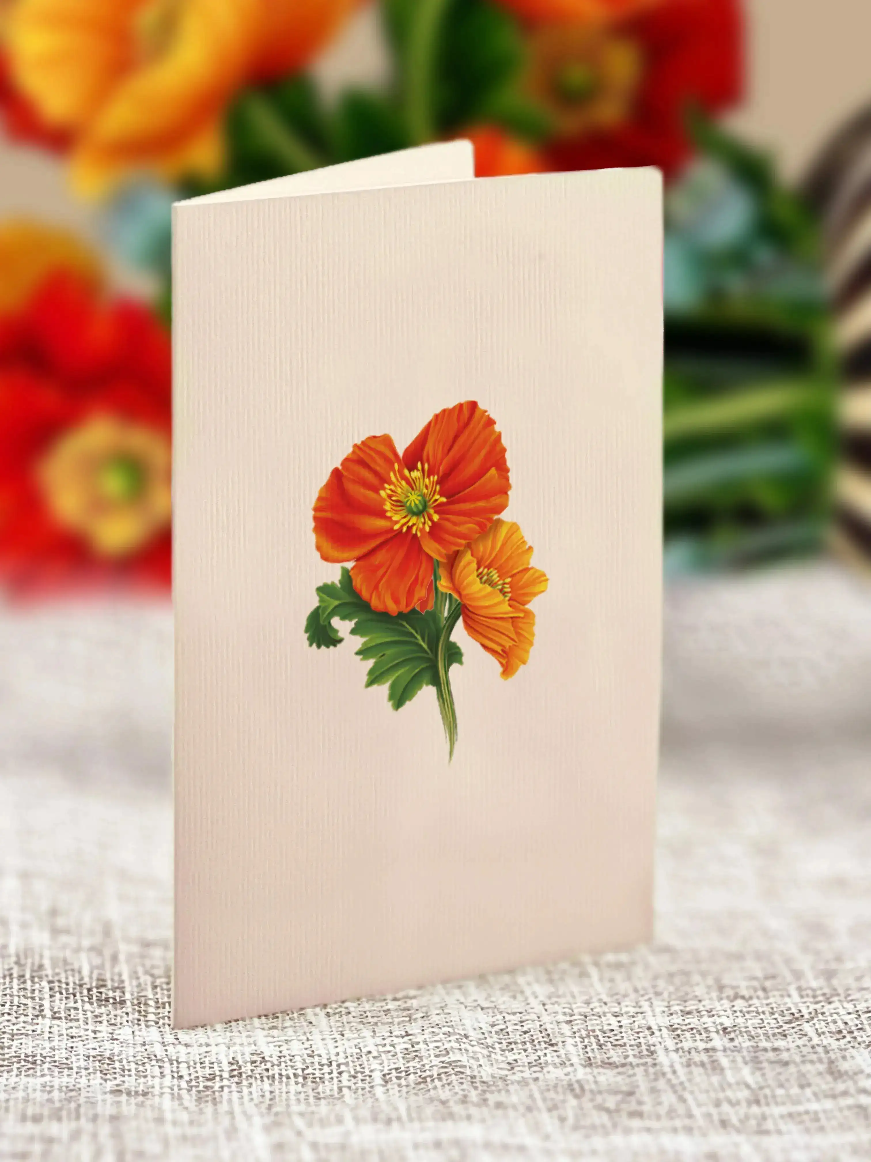 Mini French Poppies - Image 5