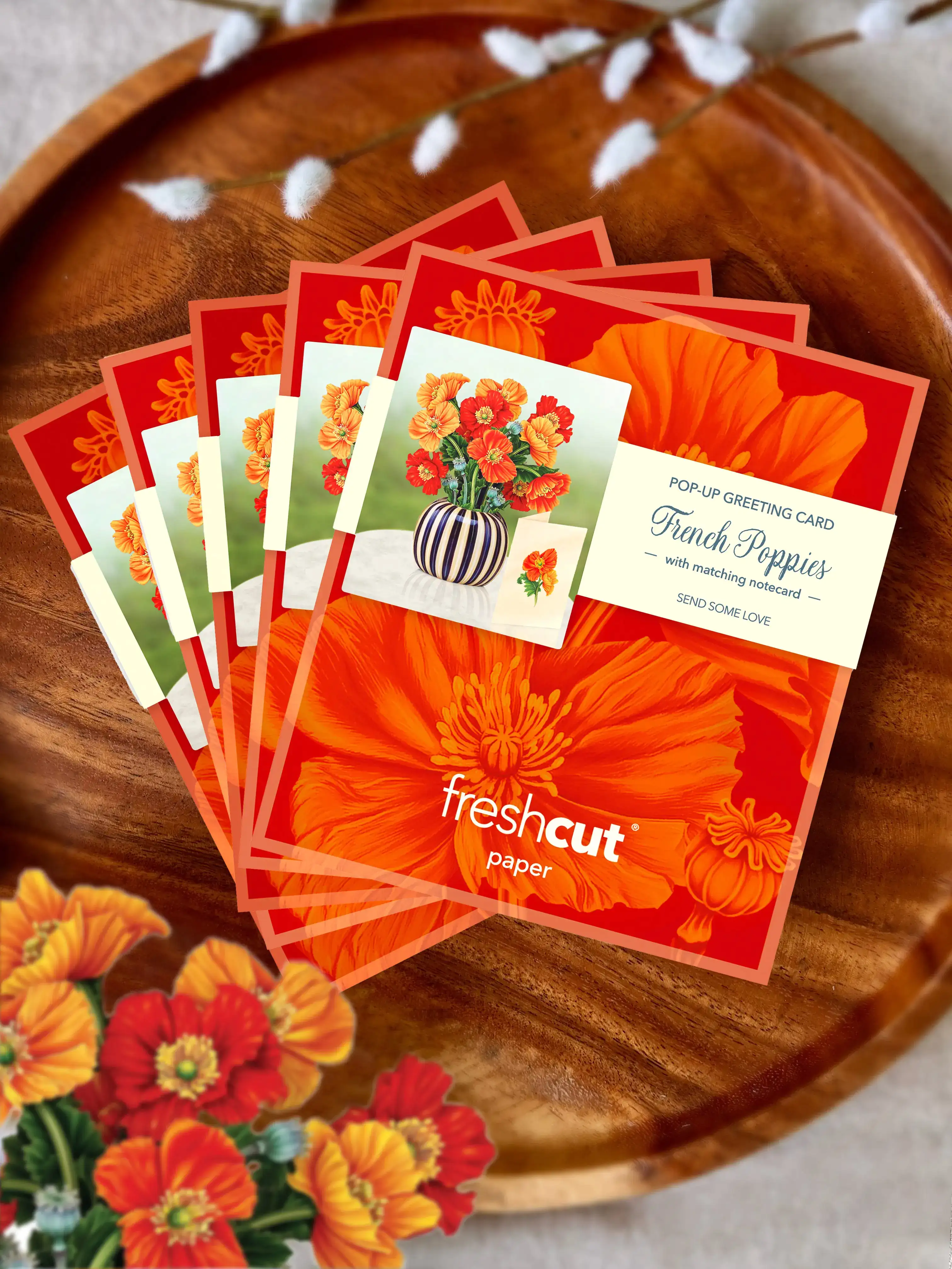 Mini French Poppies - Image 7