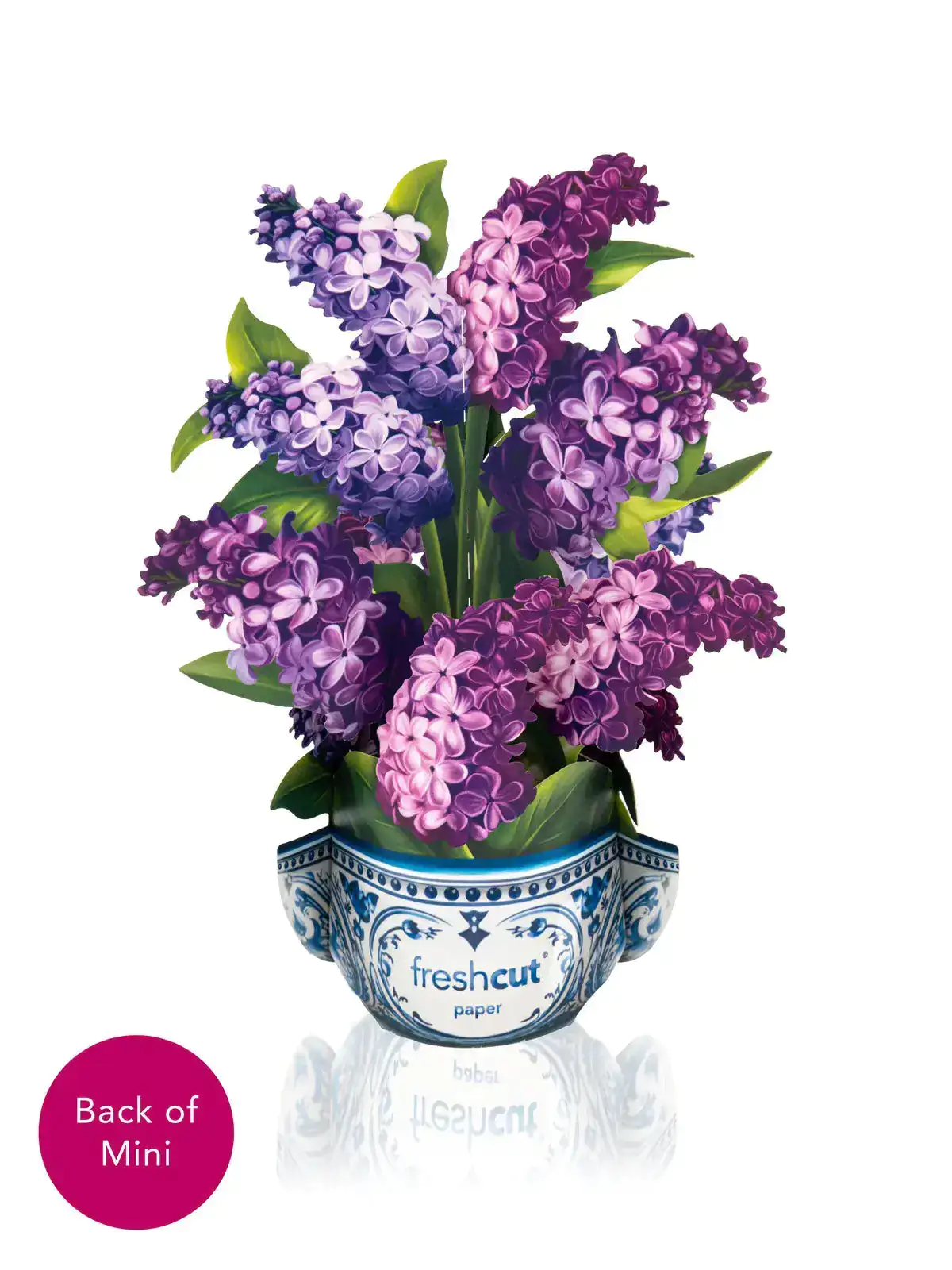 Mini Garden Lilacs - Image 3