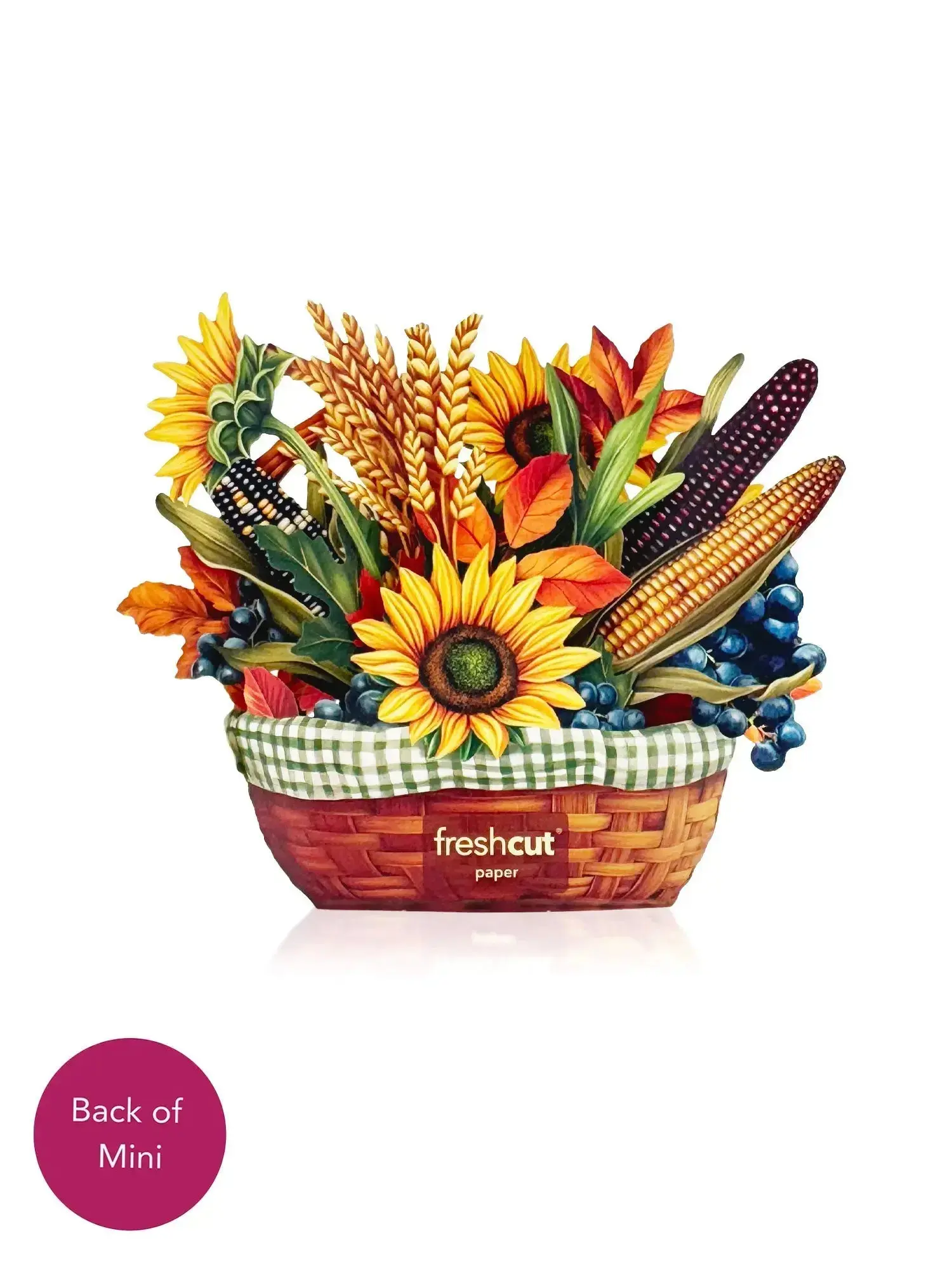 Mini Golden Harvest - Image 3