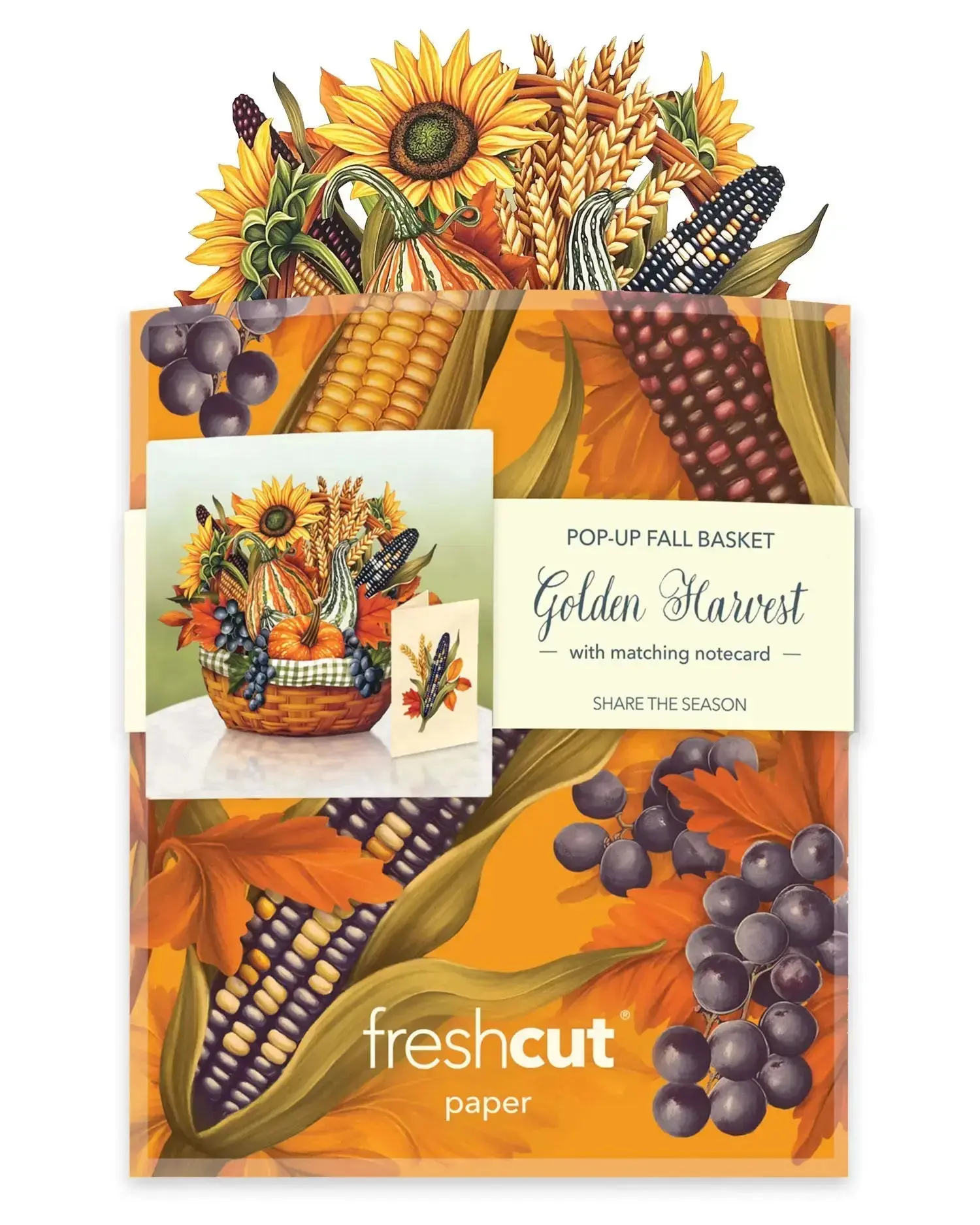 Mini Golden Harvest - Image 5