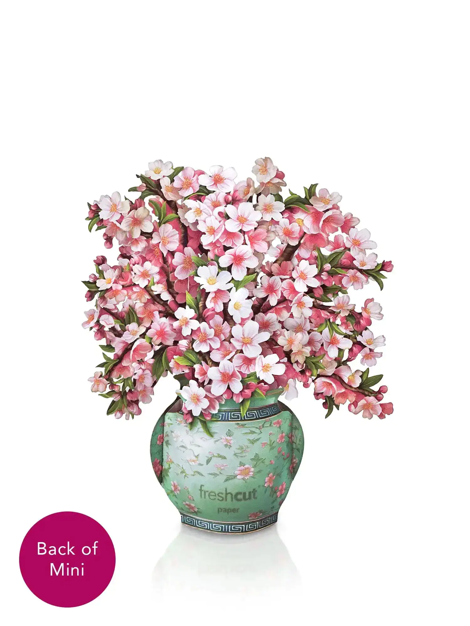 Mini Japanese Cherry Blossoms - Image 3