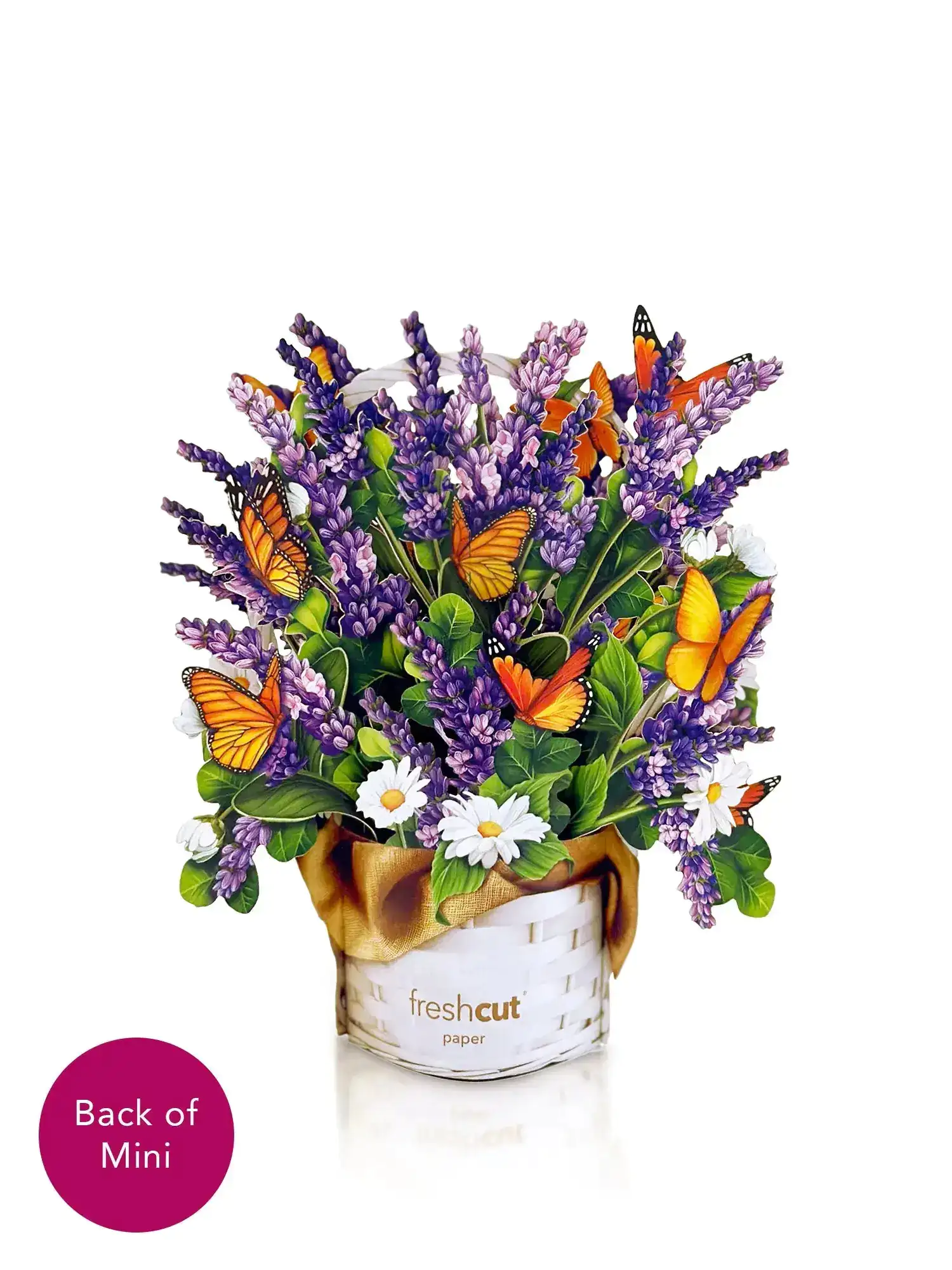Mini Lavender & Butterflies - Image 3