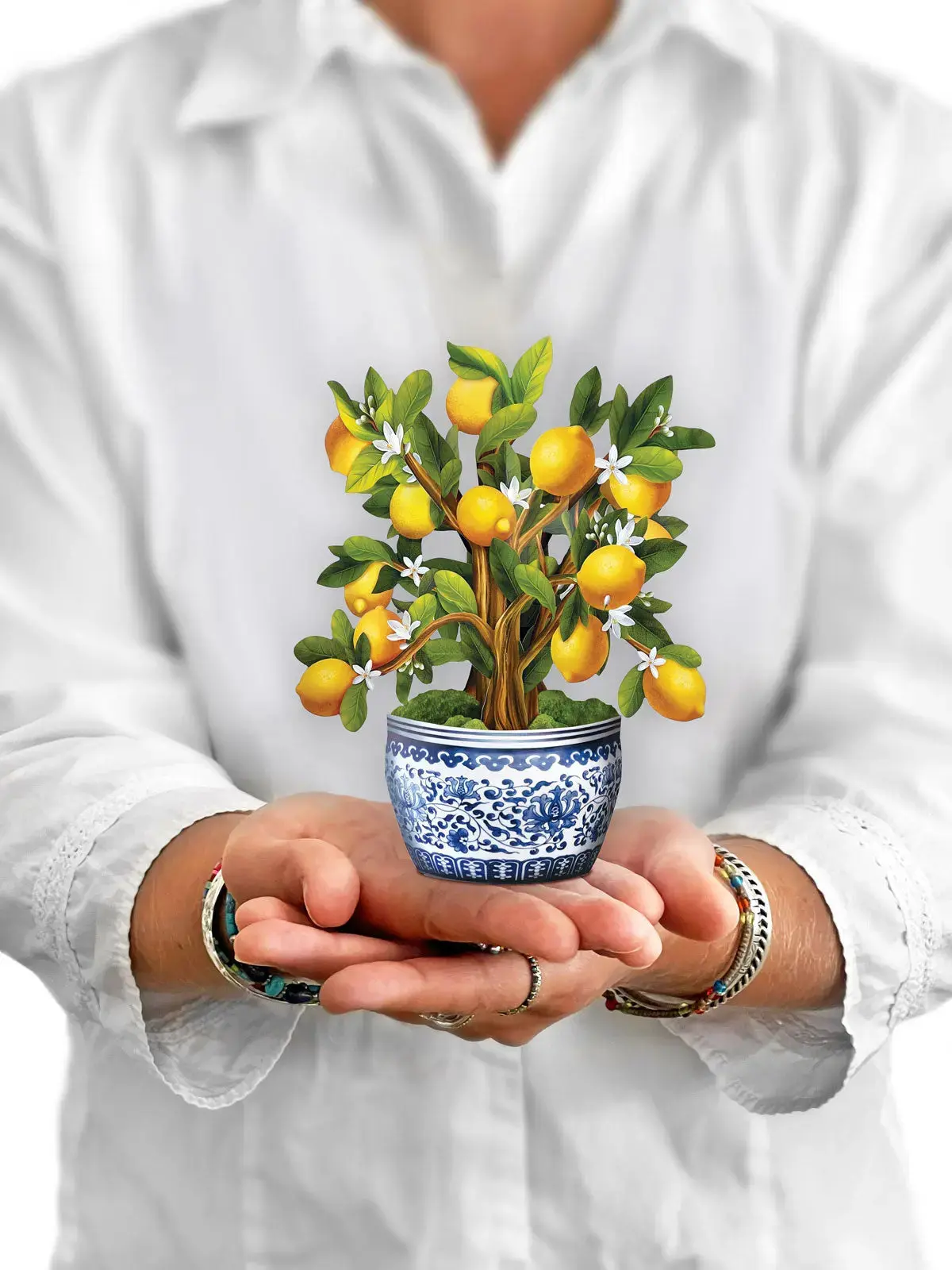 Mini Lemon Blossom Tree