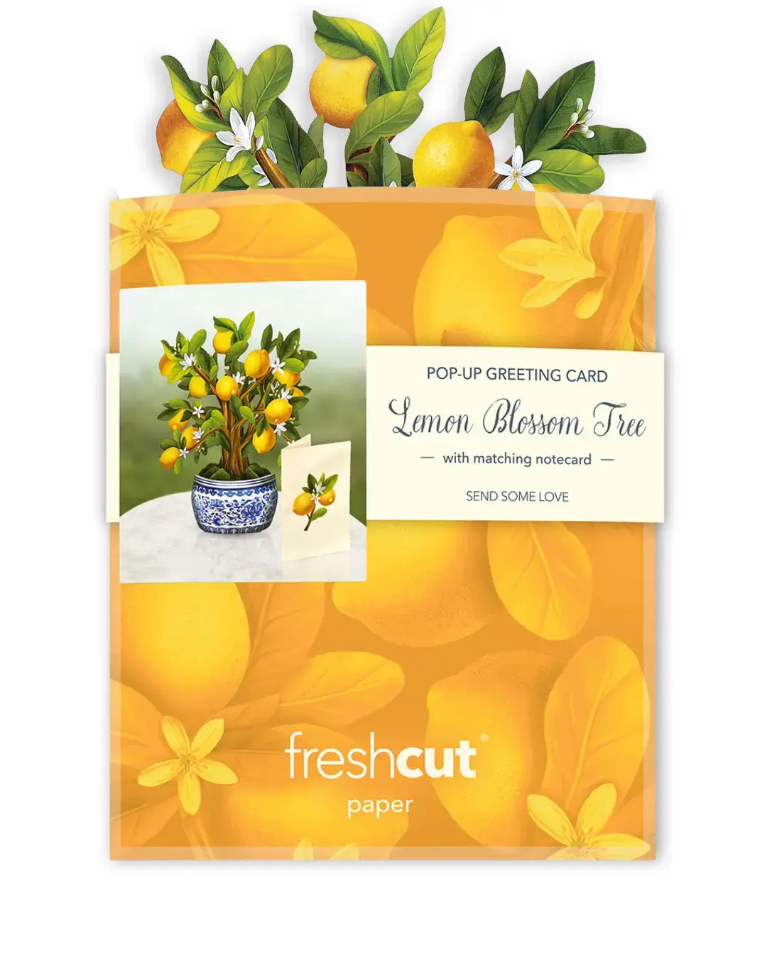 Mini Lemon Blossom Tree - Image 5