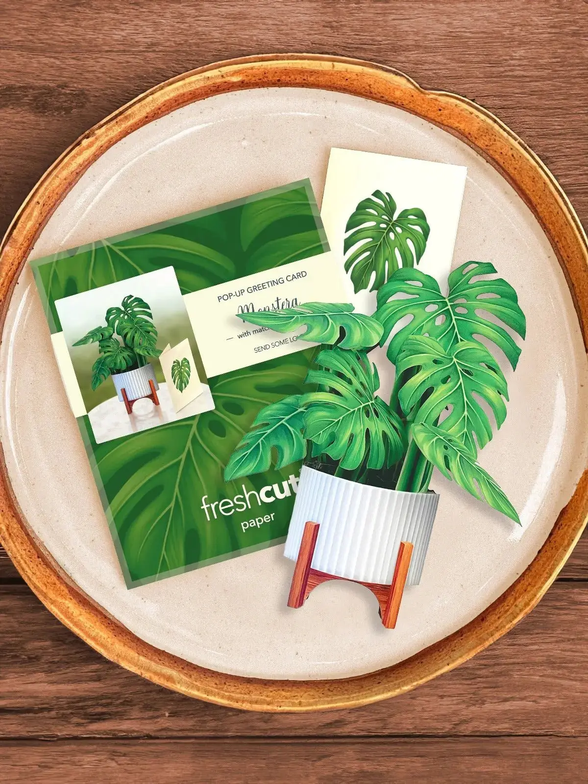 Mini Monstera - Image 5