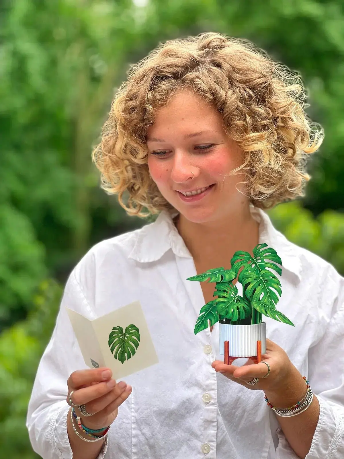 Mini Monstera - Image 6