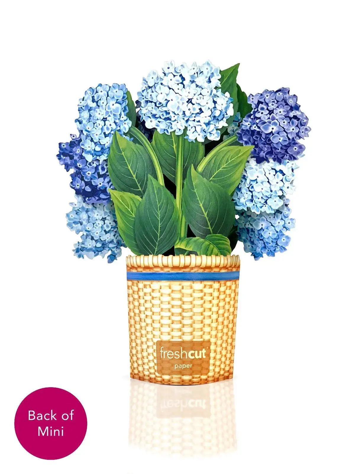 Mini Nantucket Hydrangeas - Image 3