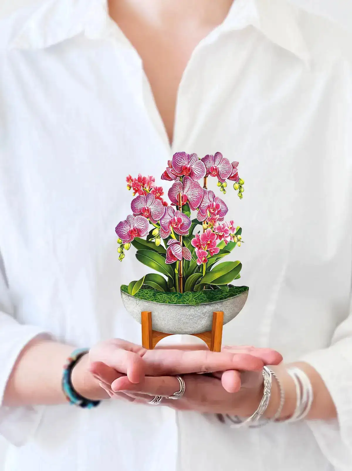 Mini Orchid Oasis - Image 2