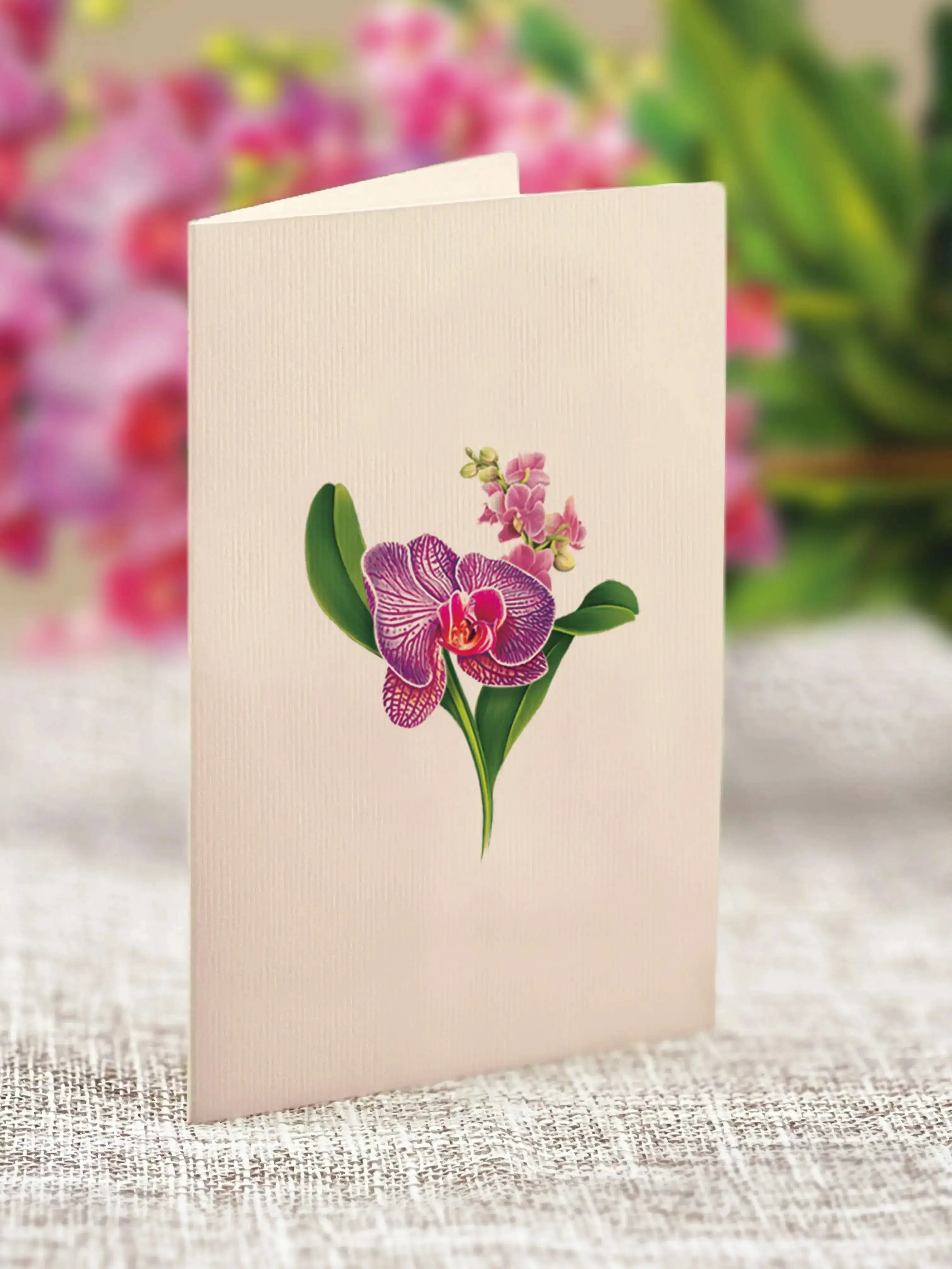 Mini Orchid Oasis - Image 6
