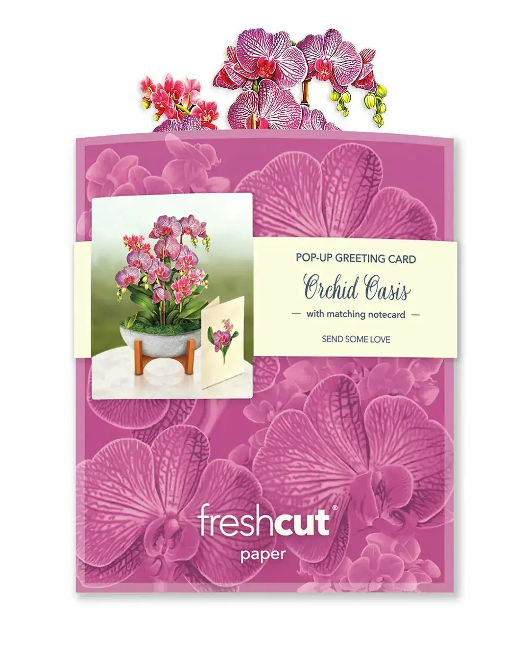 Mini Orchid Oasis - Image 7