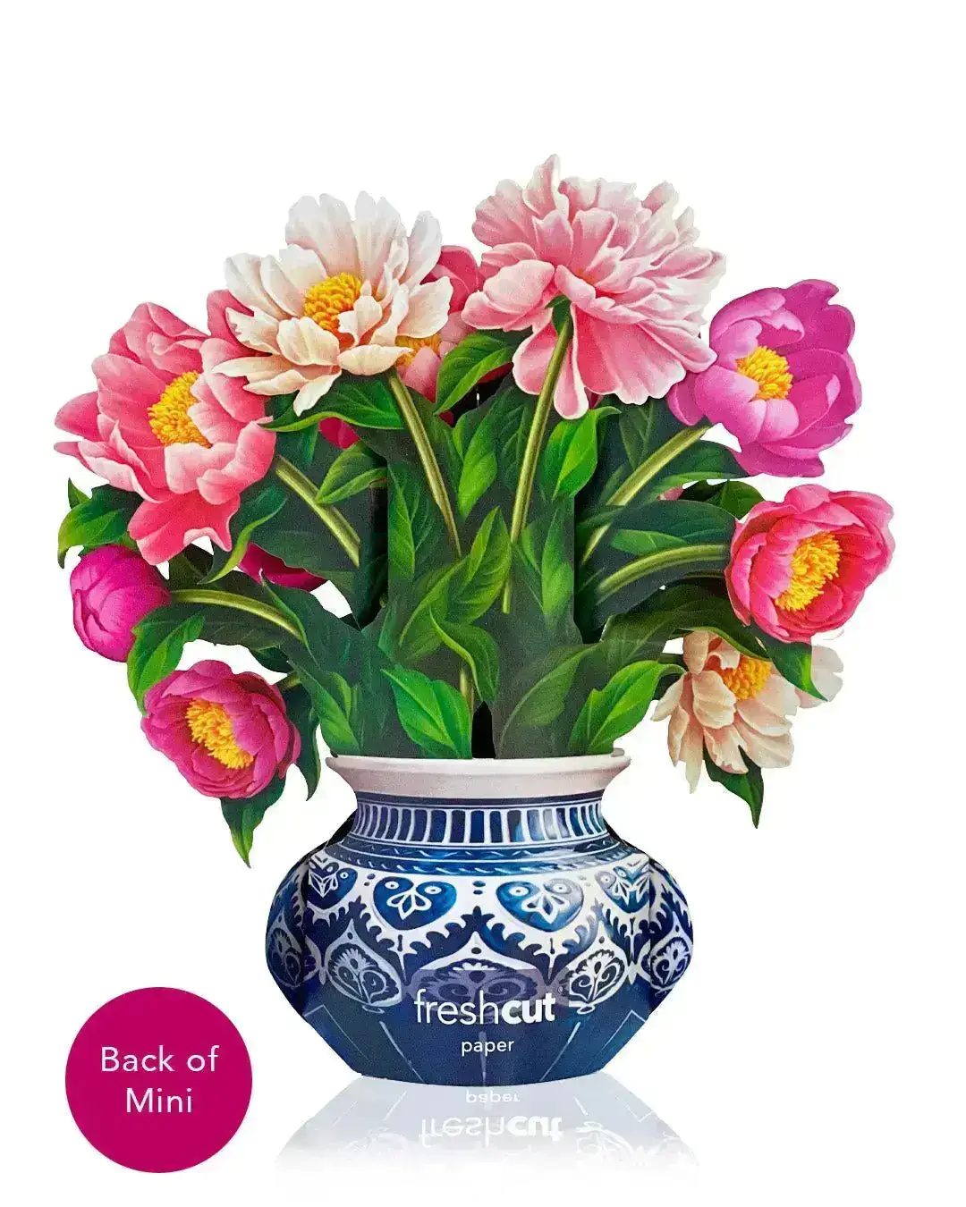 Mini Peony Paradise - Image 3