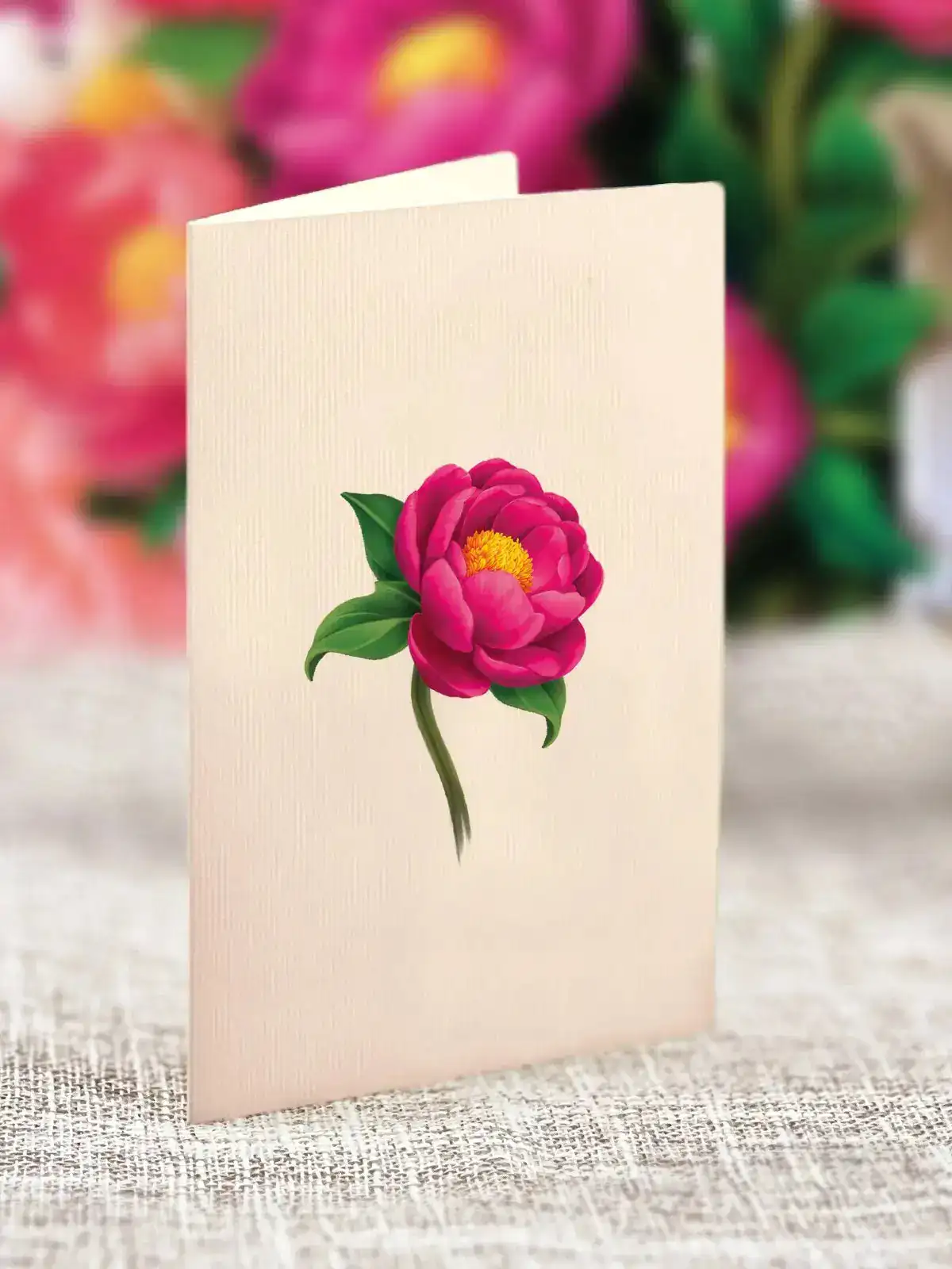 Mini Peony Paradise - Image 4