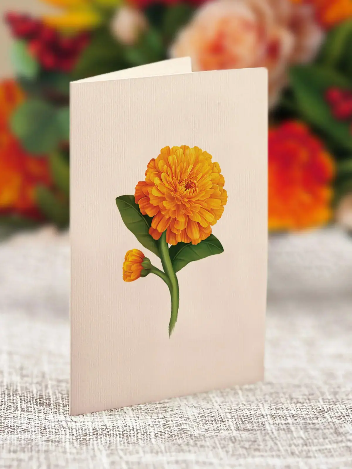 Mini Pumpkin Spice - Image 6