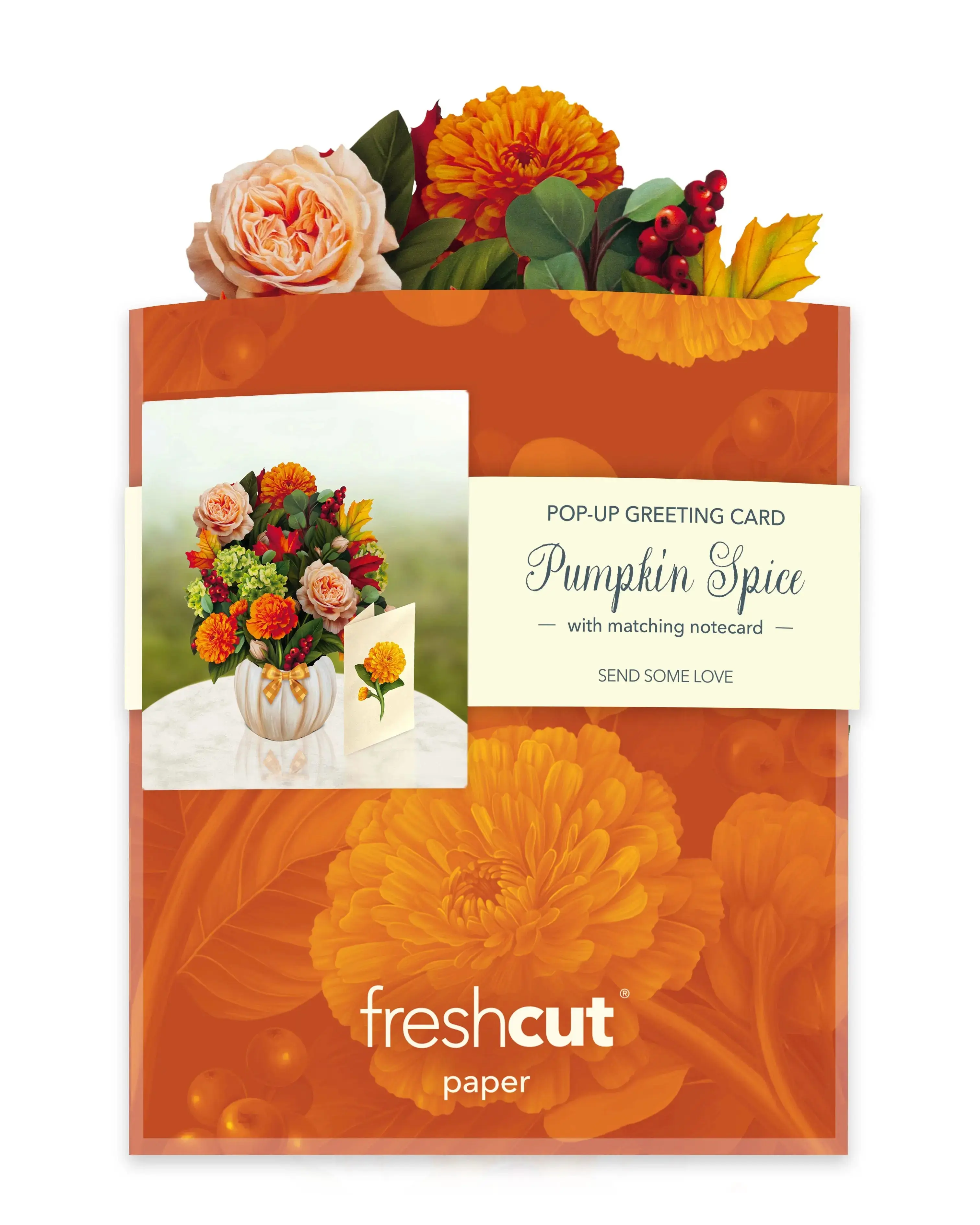 Mini Pumpkin Spice - Image 7