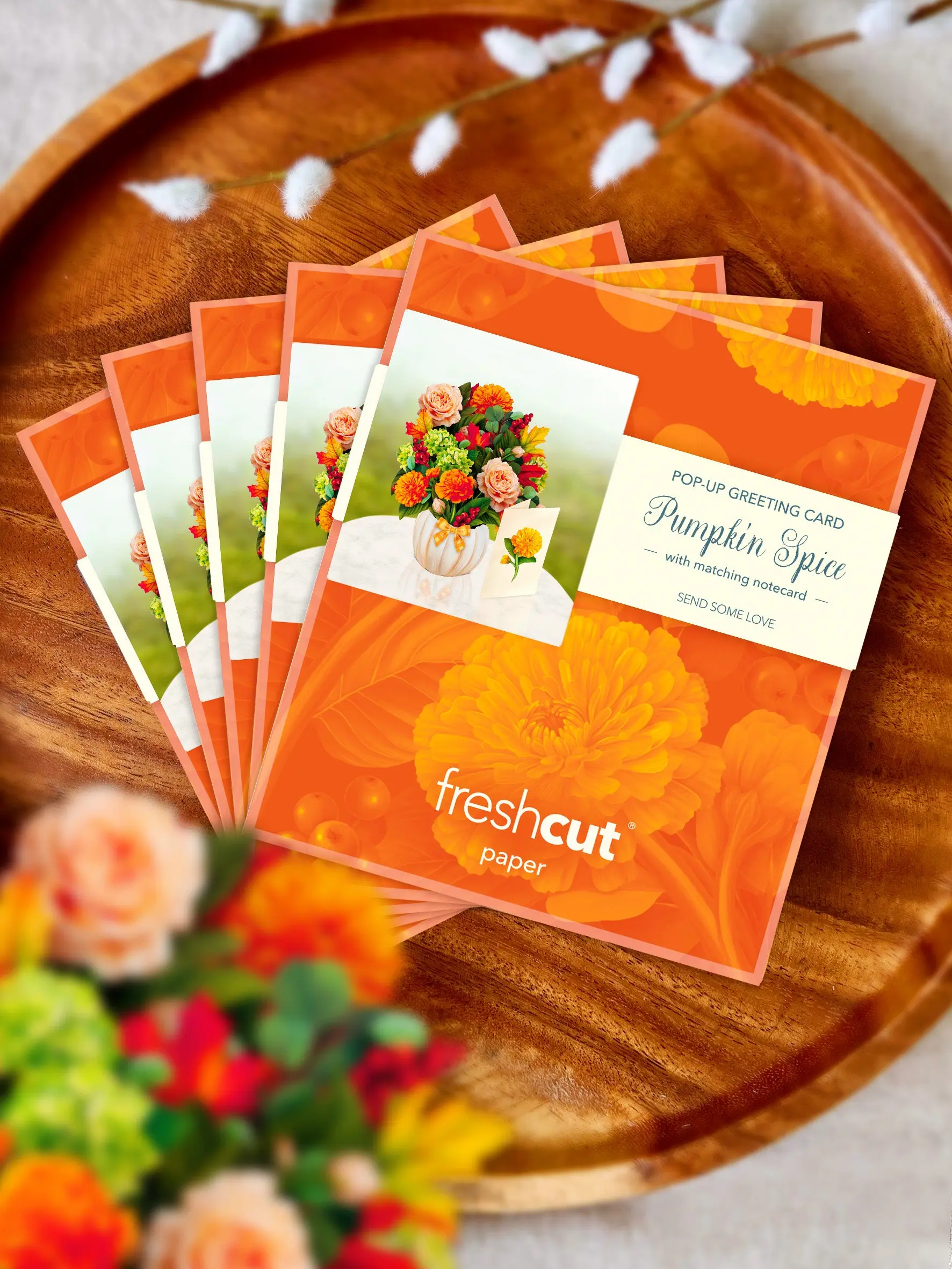 Mini Pumpkin Spice - Image 8