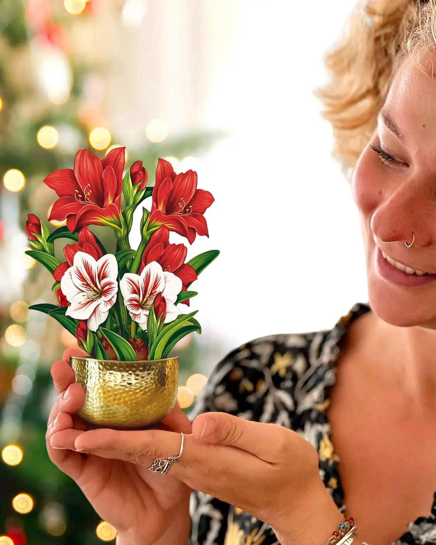 Mini Christmas Scarlet Amaryllis - Image 4