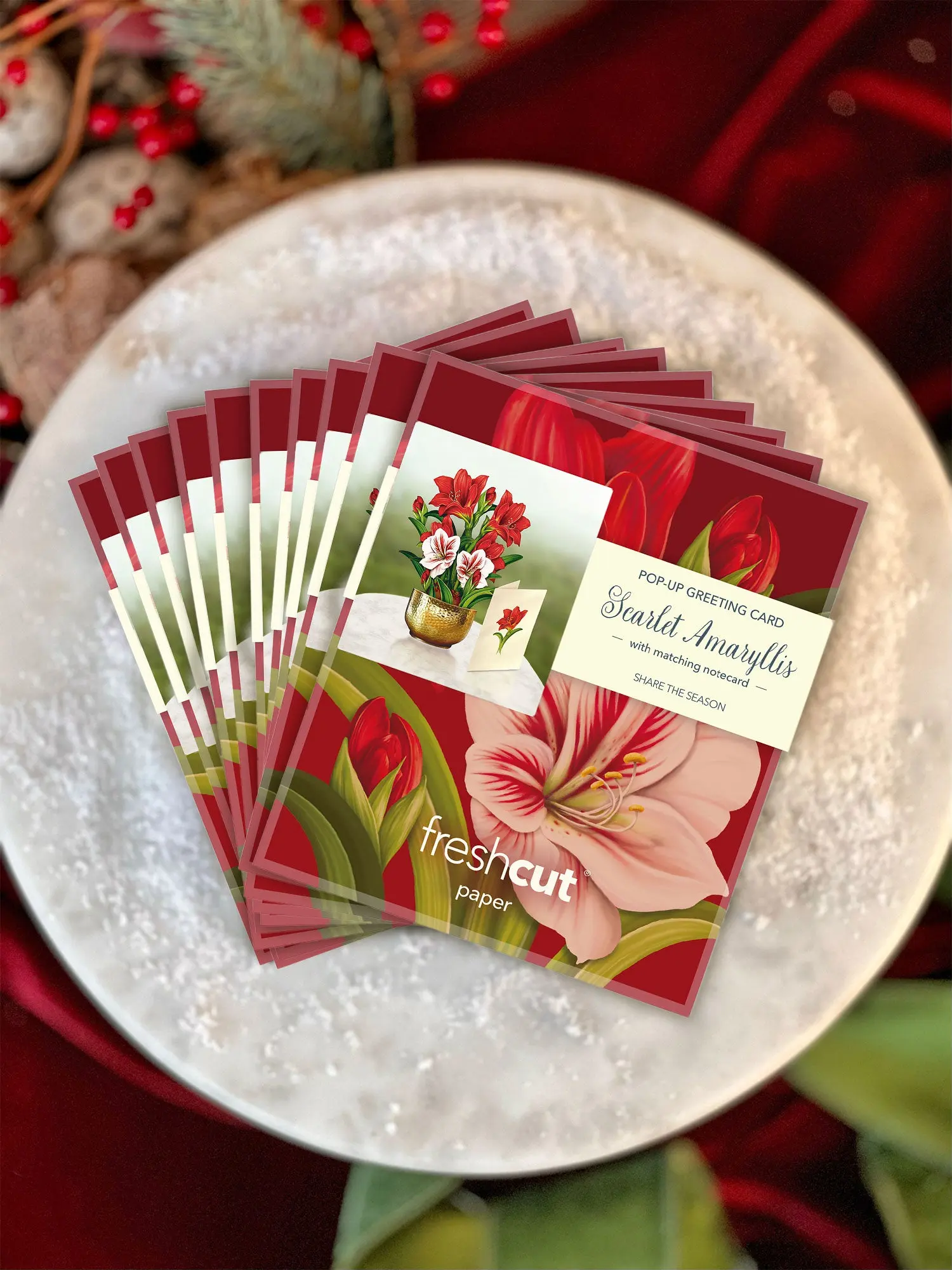 Mini Christmas Scarlet Amaryllis - Image 8