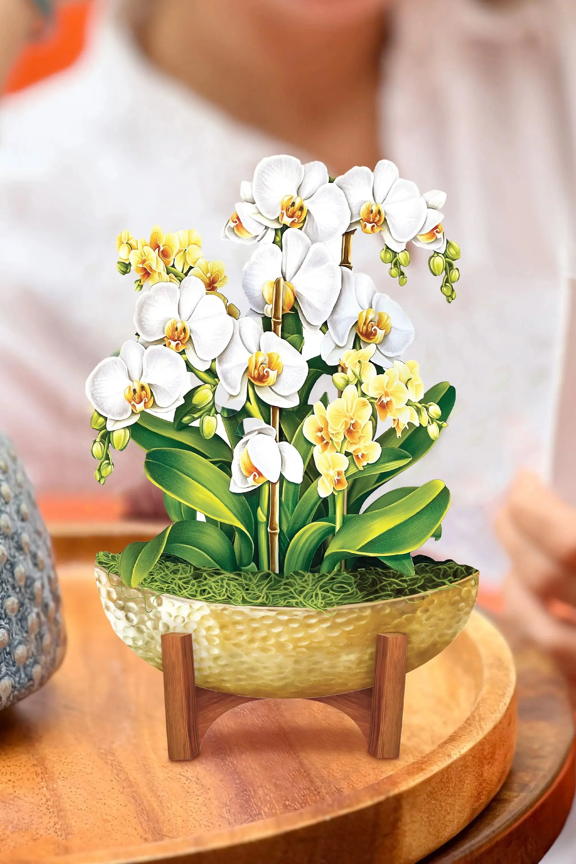 Mini Serenity Orchid - Image 2