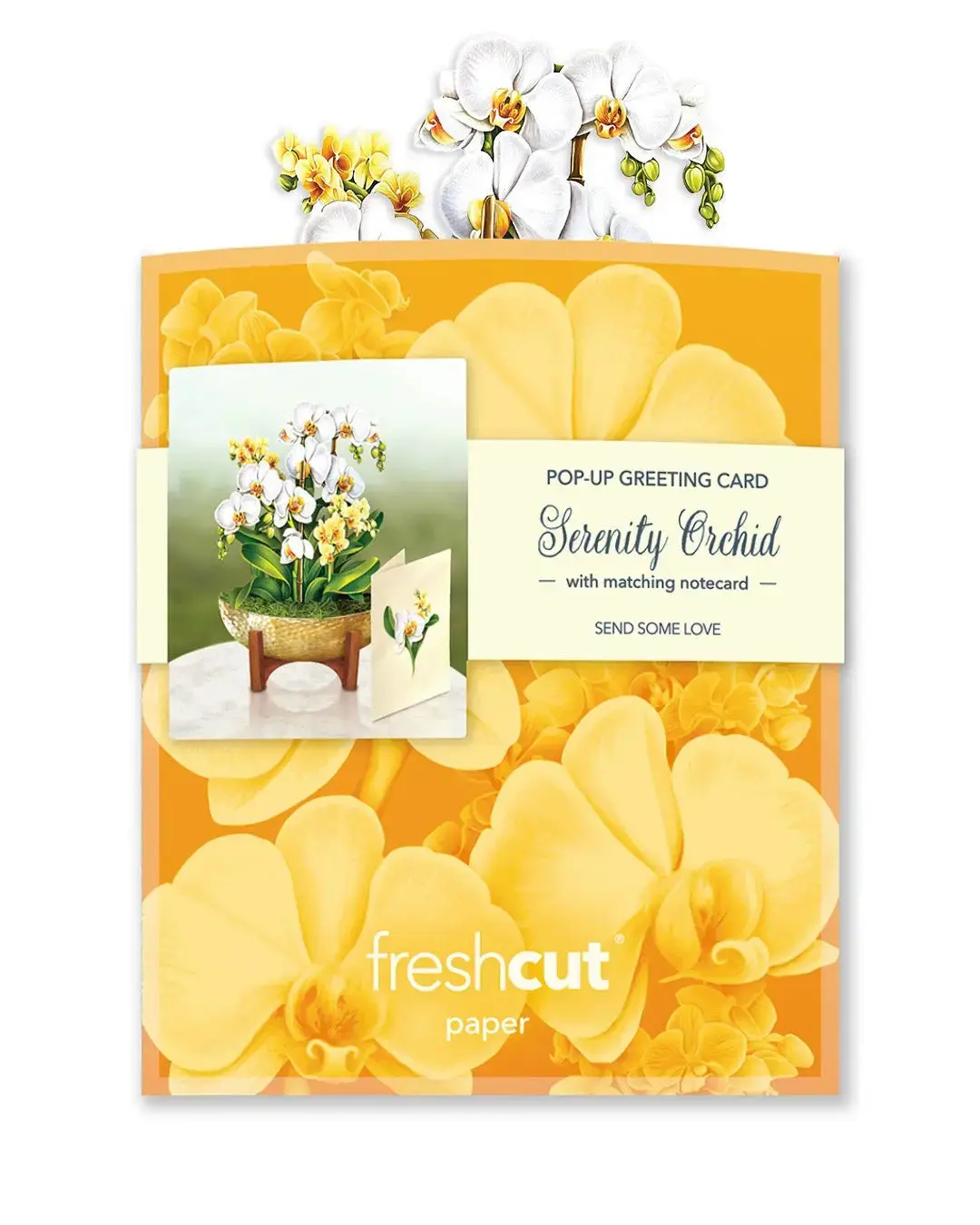 Mini Serenity Orchid - Image 6