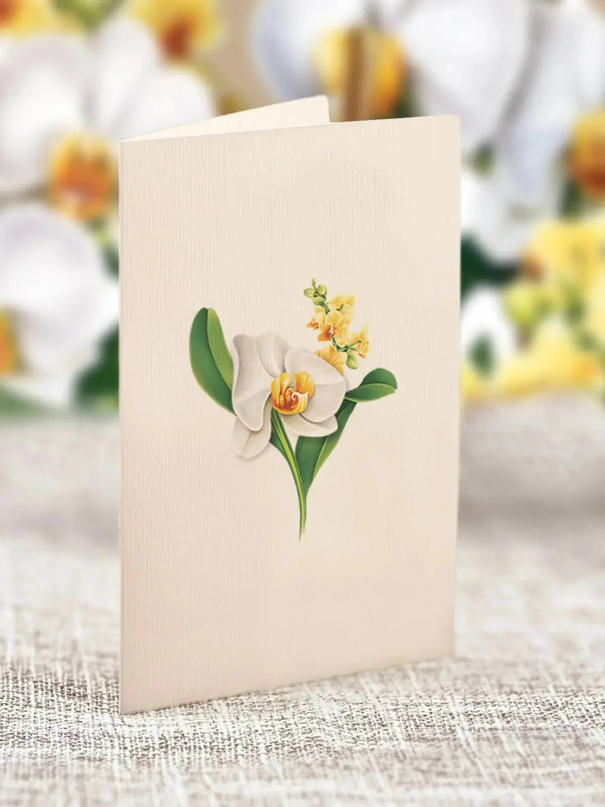 Mini Serenity Orchid - Image 7
