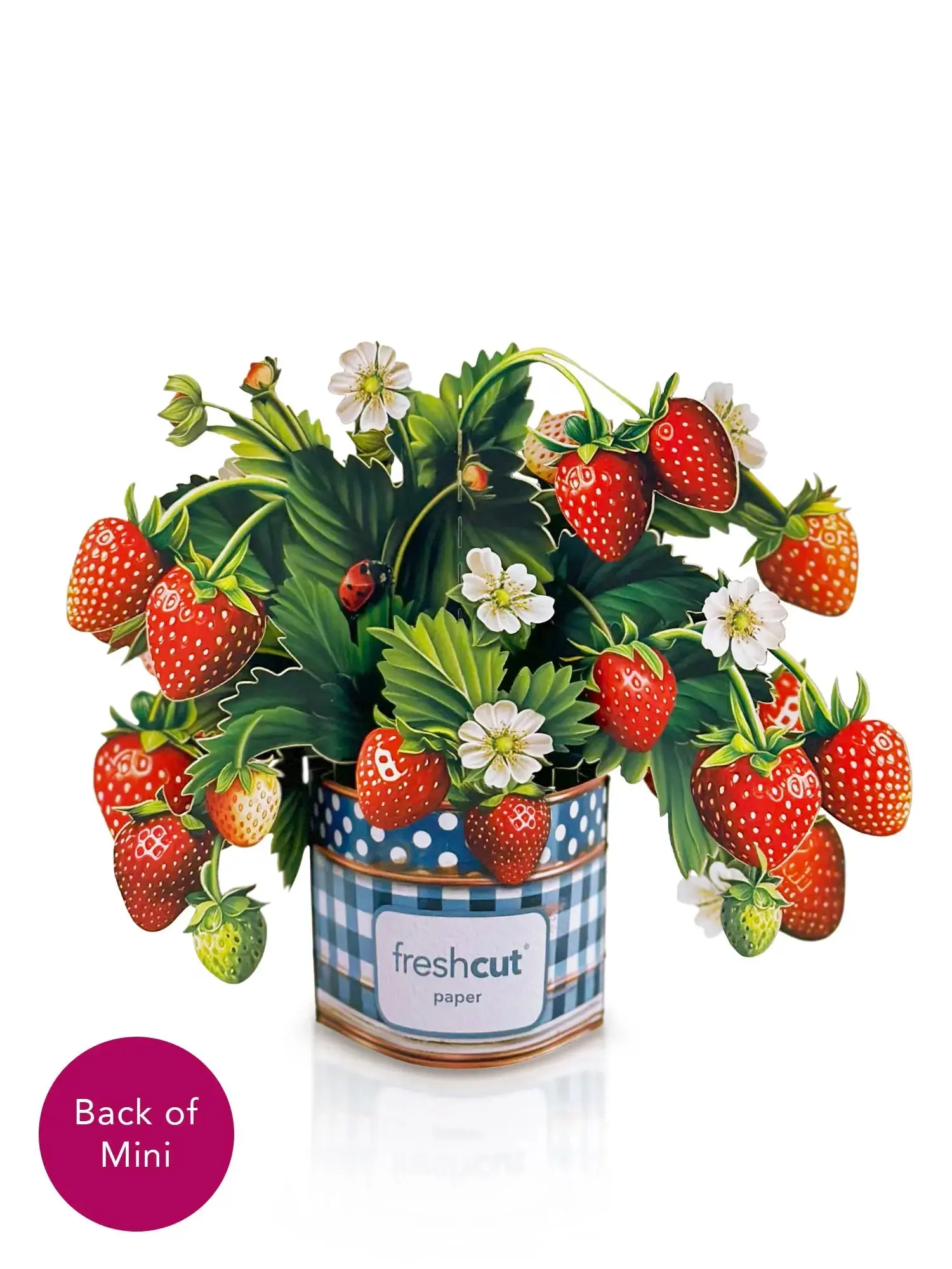 Mini Strawberry Blossom - Image 3